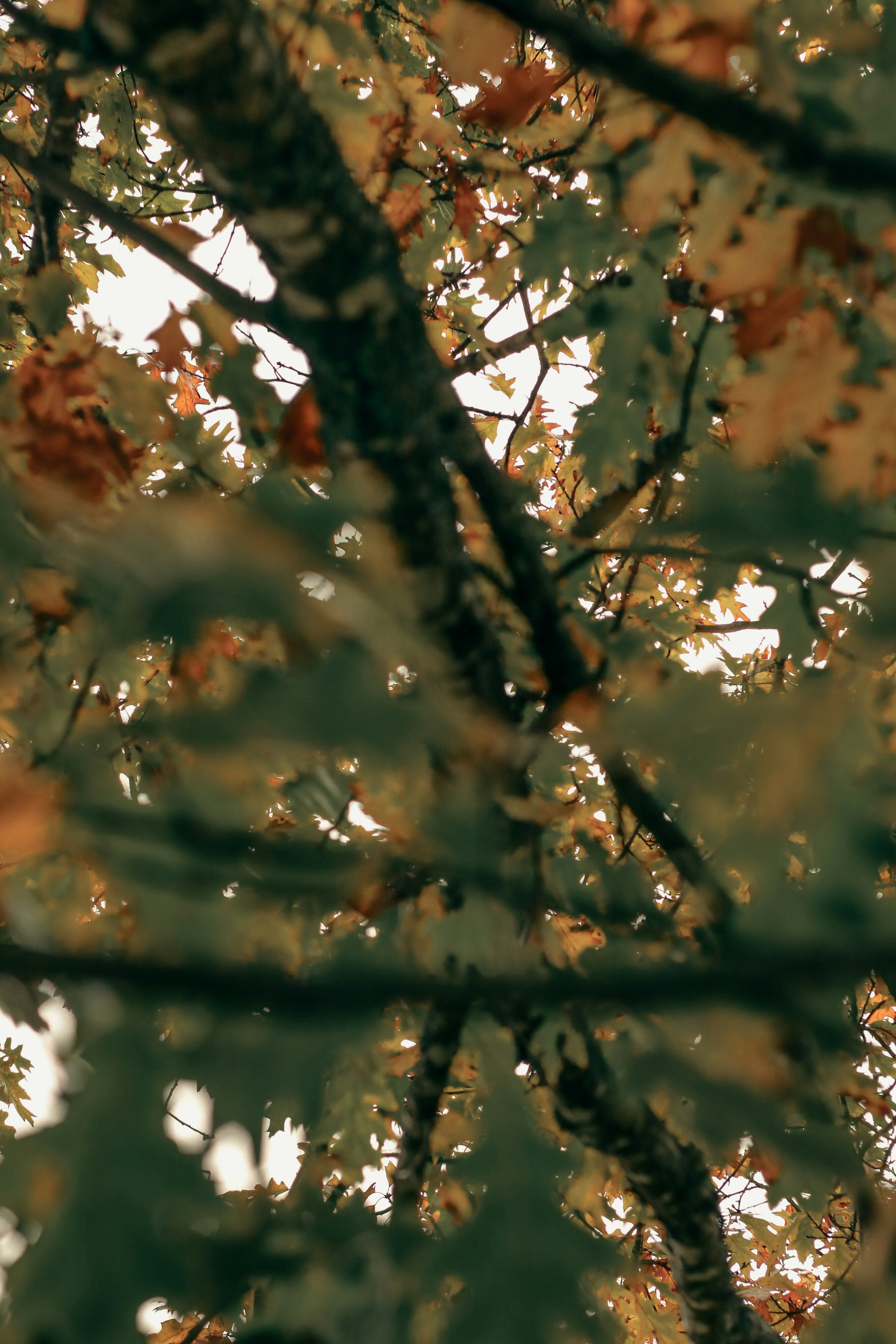 Photo by focalinsight