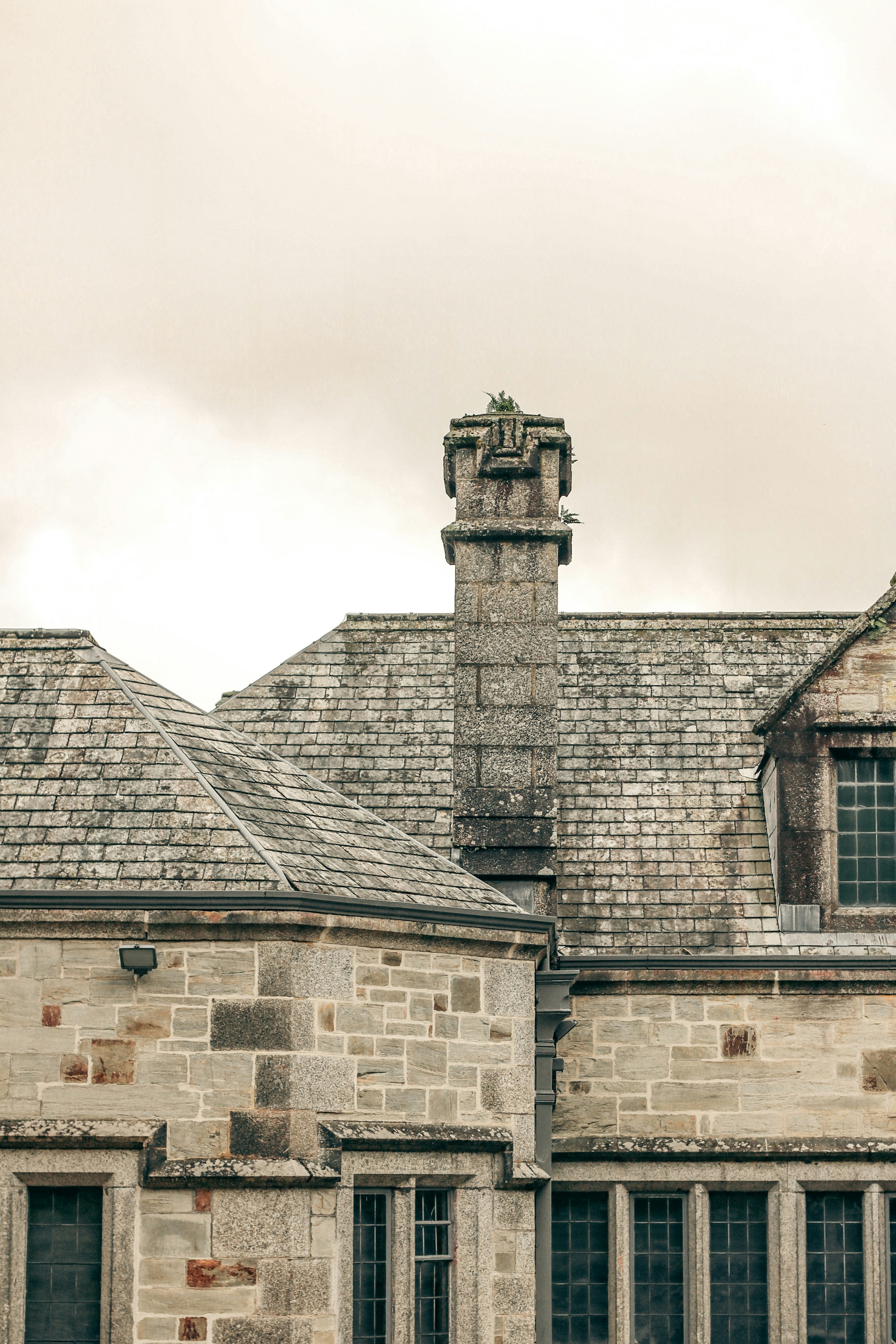 Photo by focalinsight