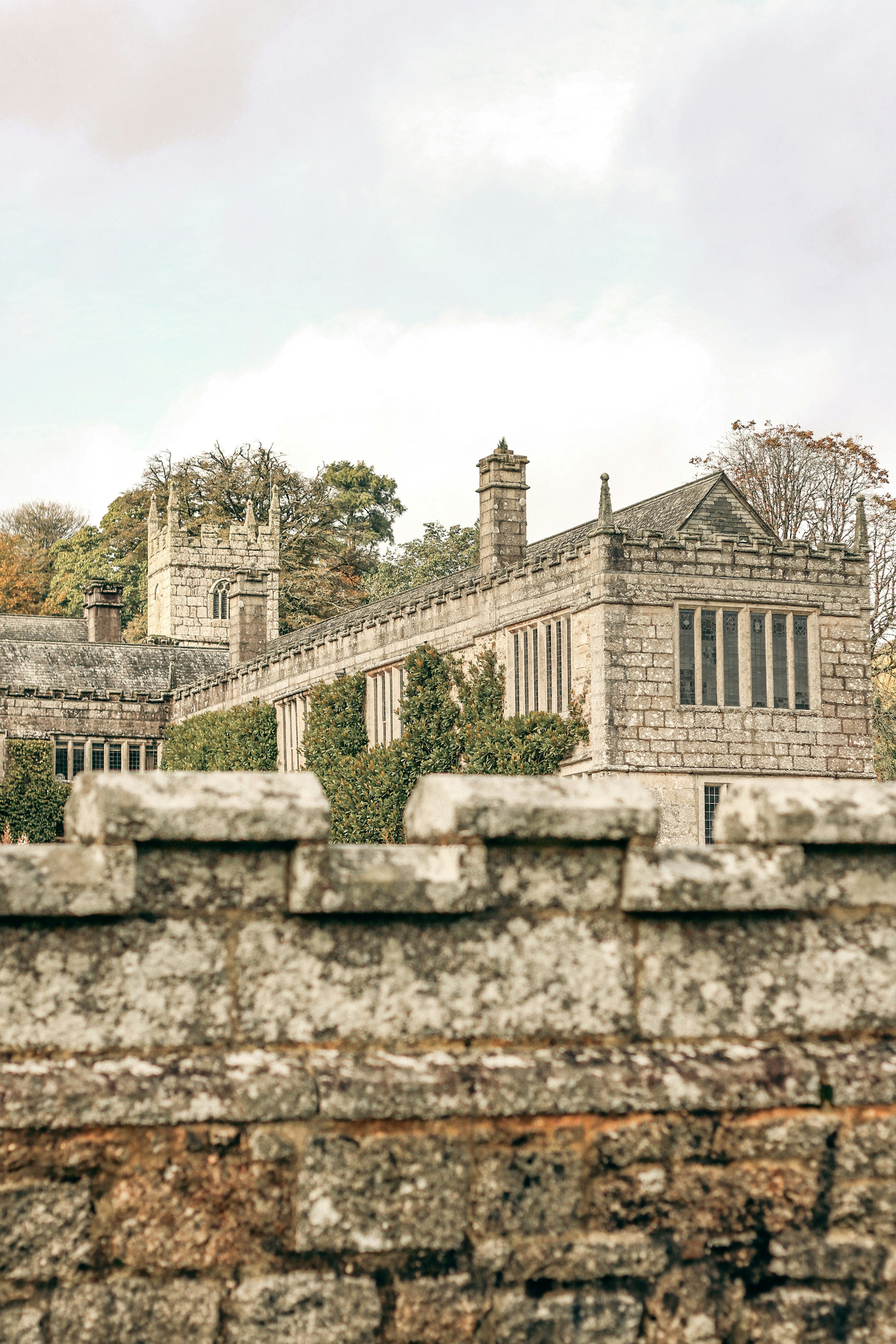 Photo by focalinsight