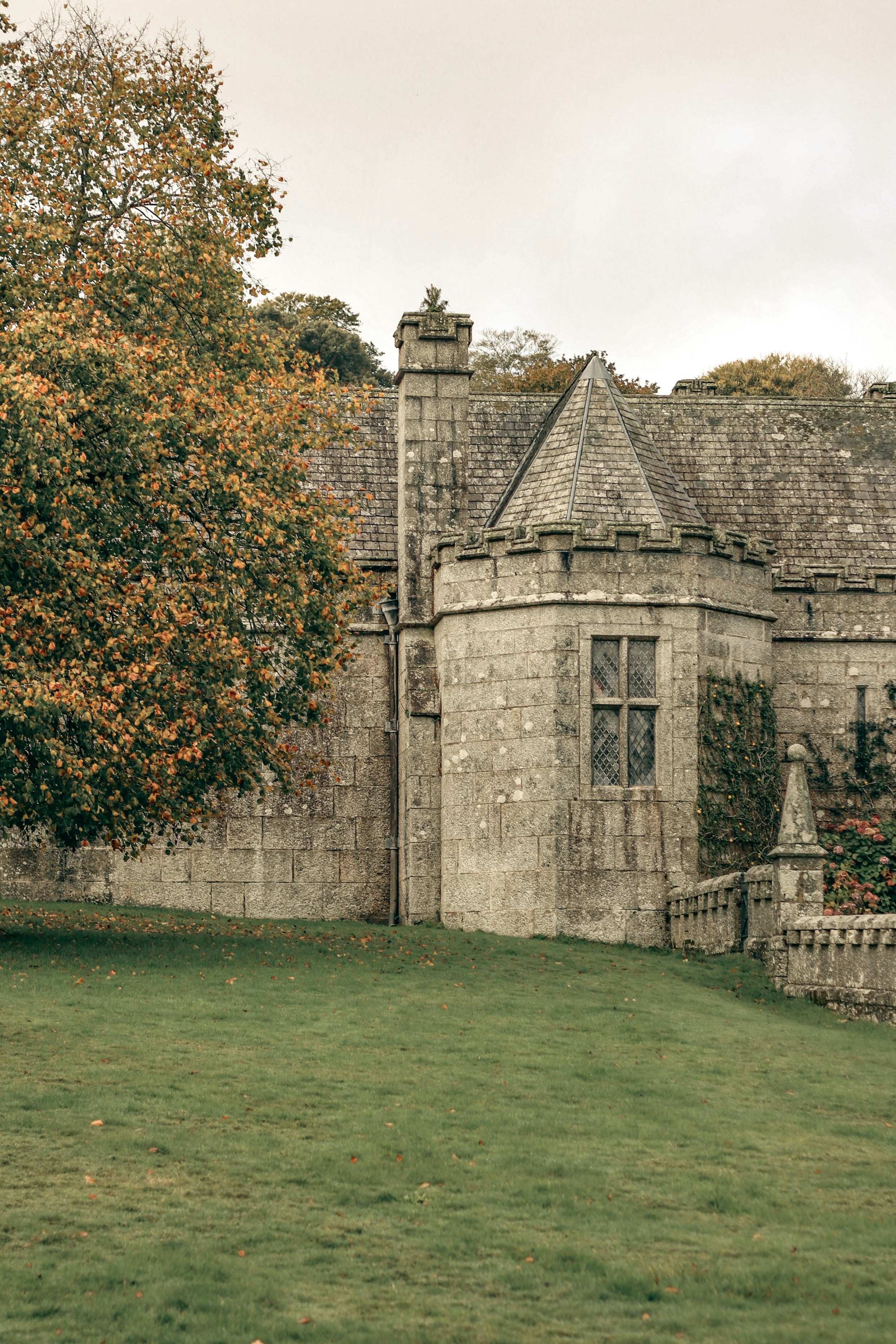 Photo by focalinsight