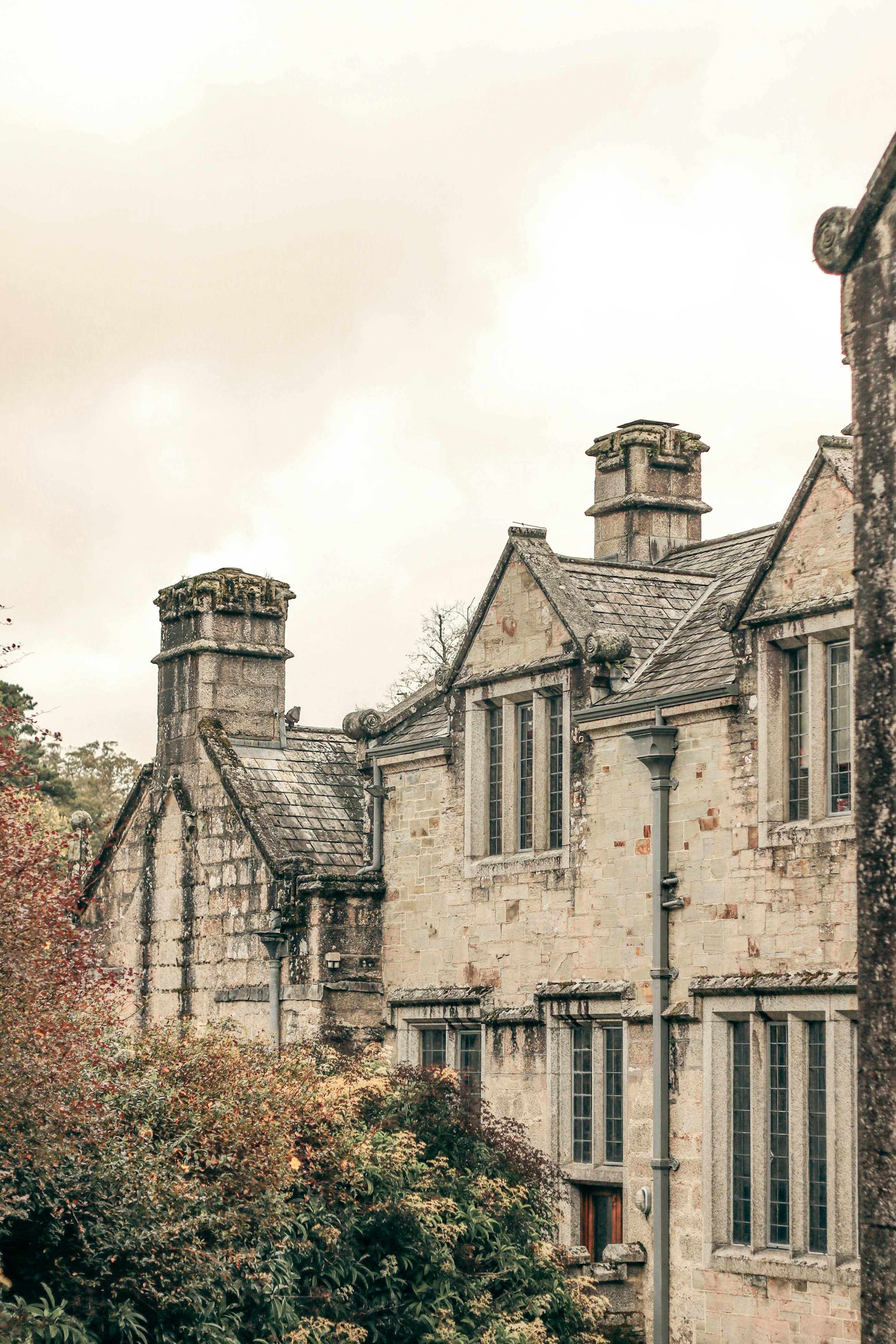 Photo by focalinsight