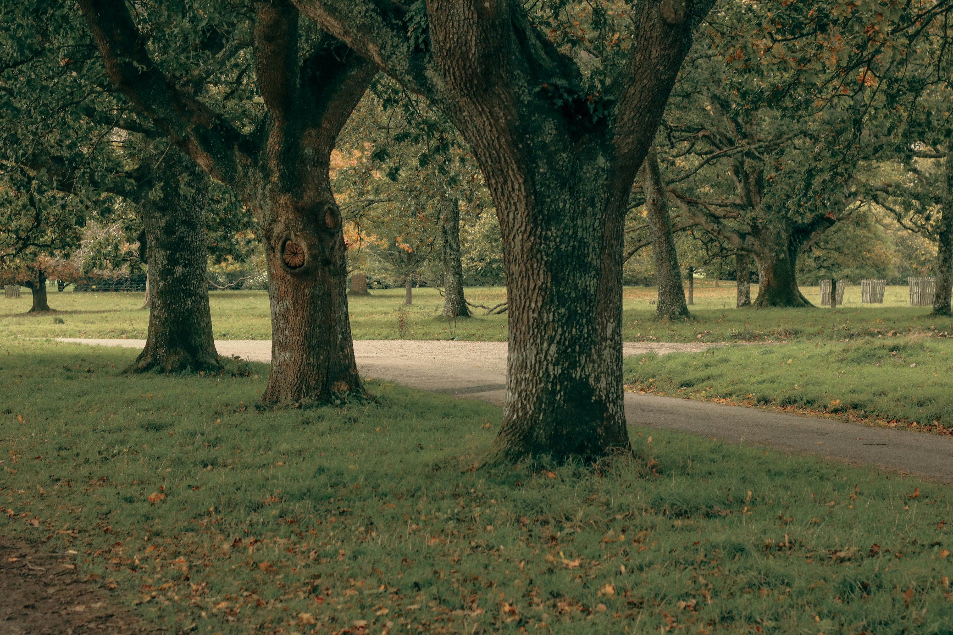 Photo by focalinsight