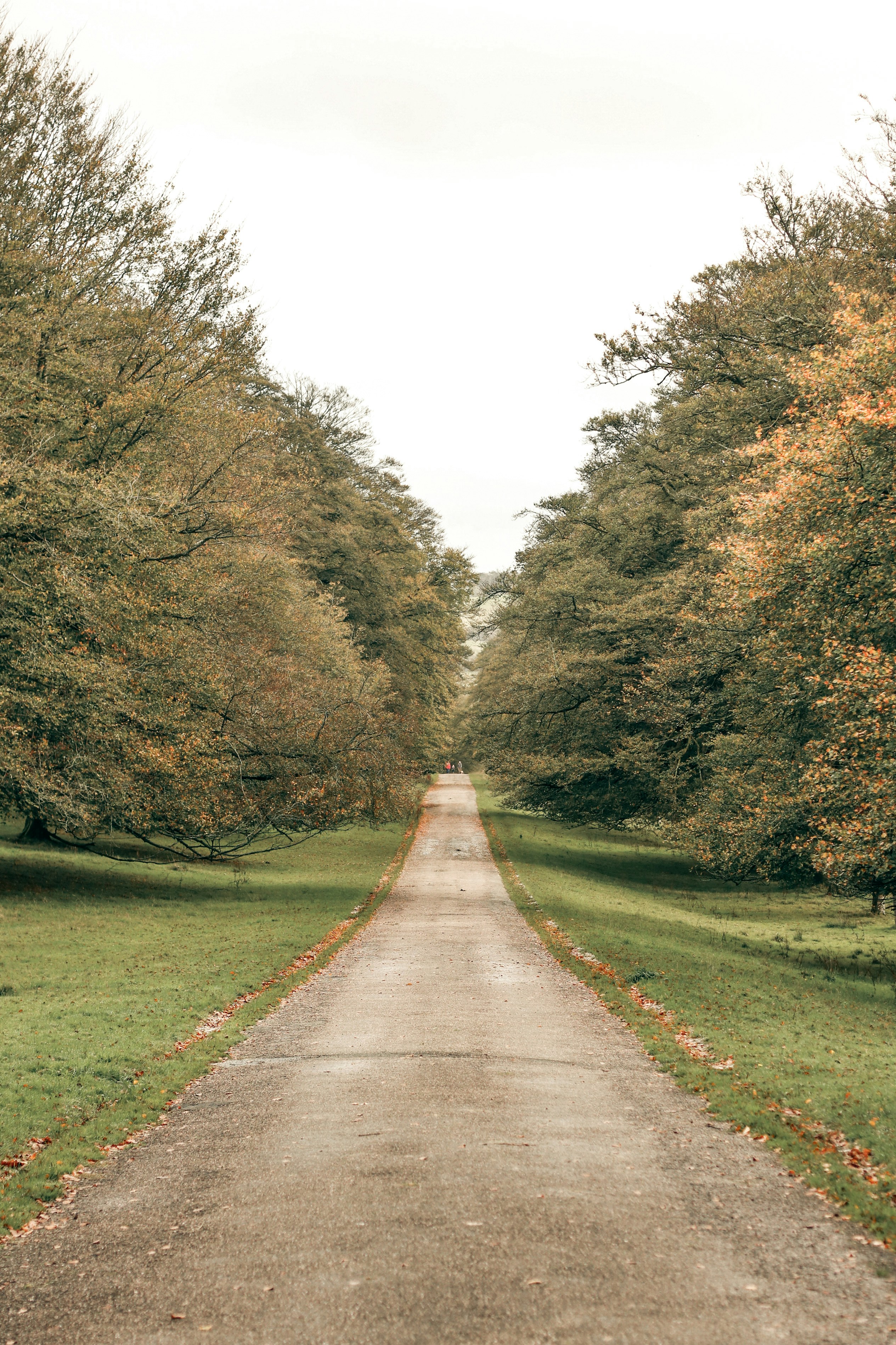 Photo by focalinsight