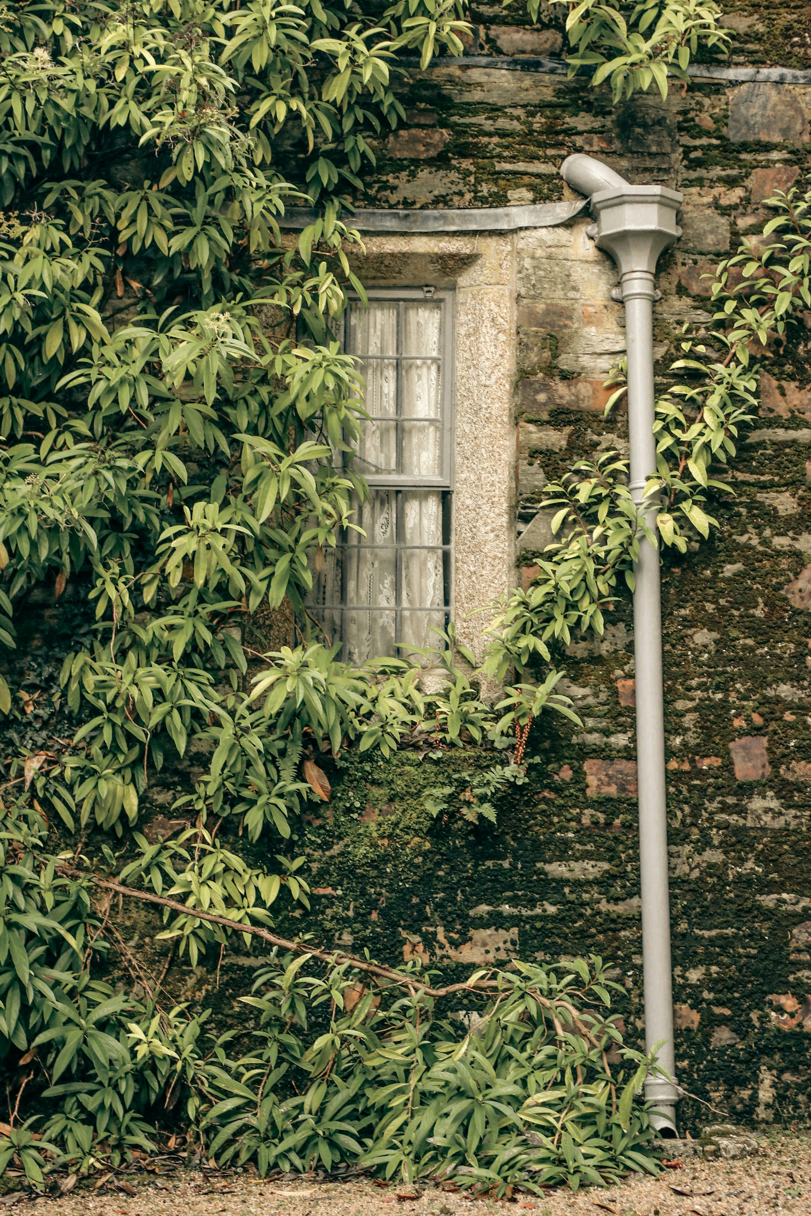 Photo by focalinsight