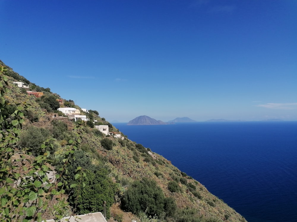 a hillside with trees and buildings by the water