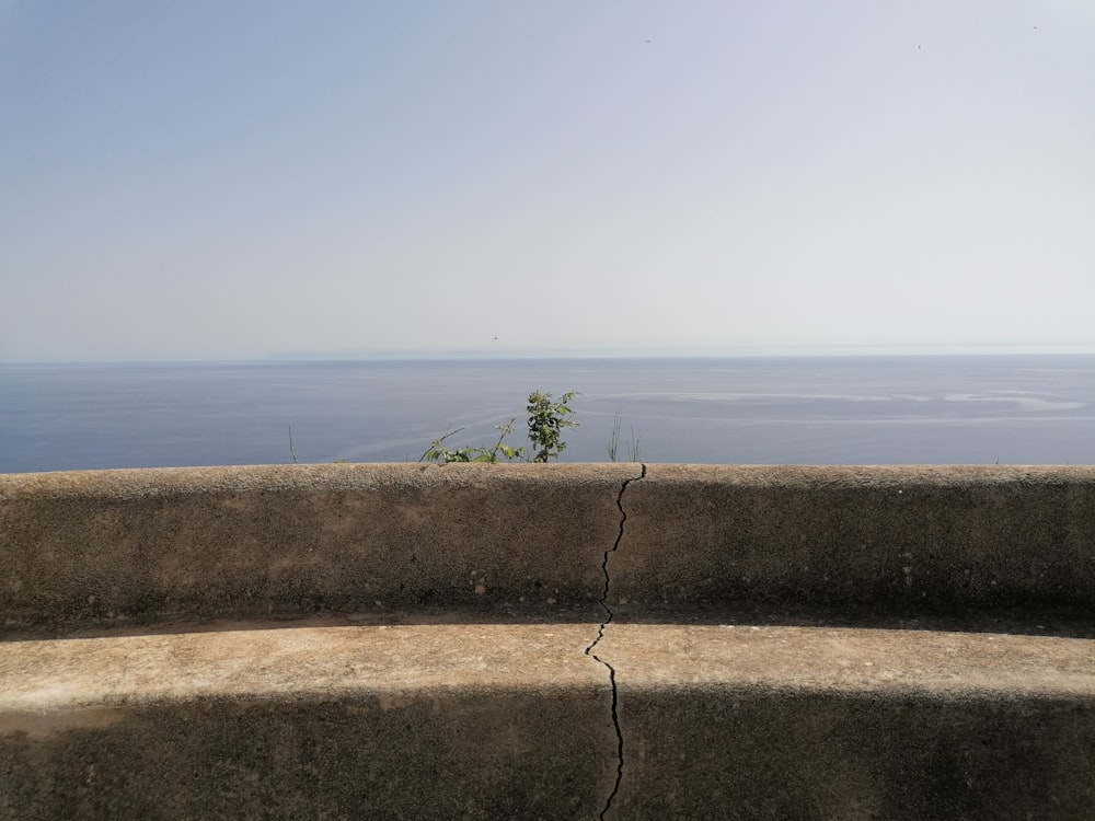 a wall with a plant growing out of it