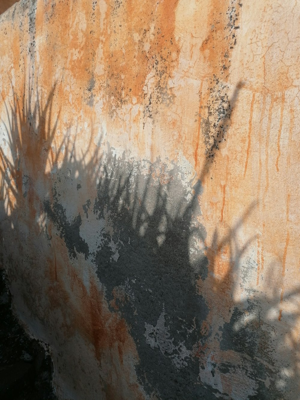 a close-up of a rock