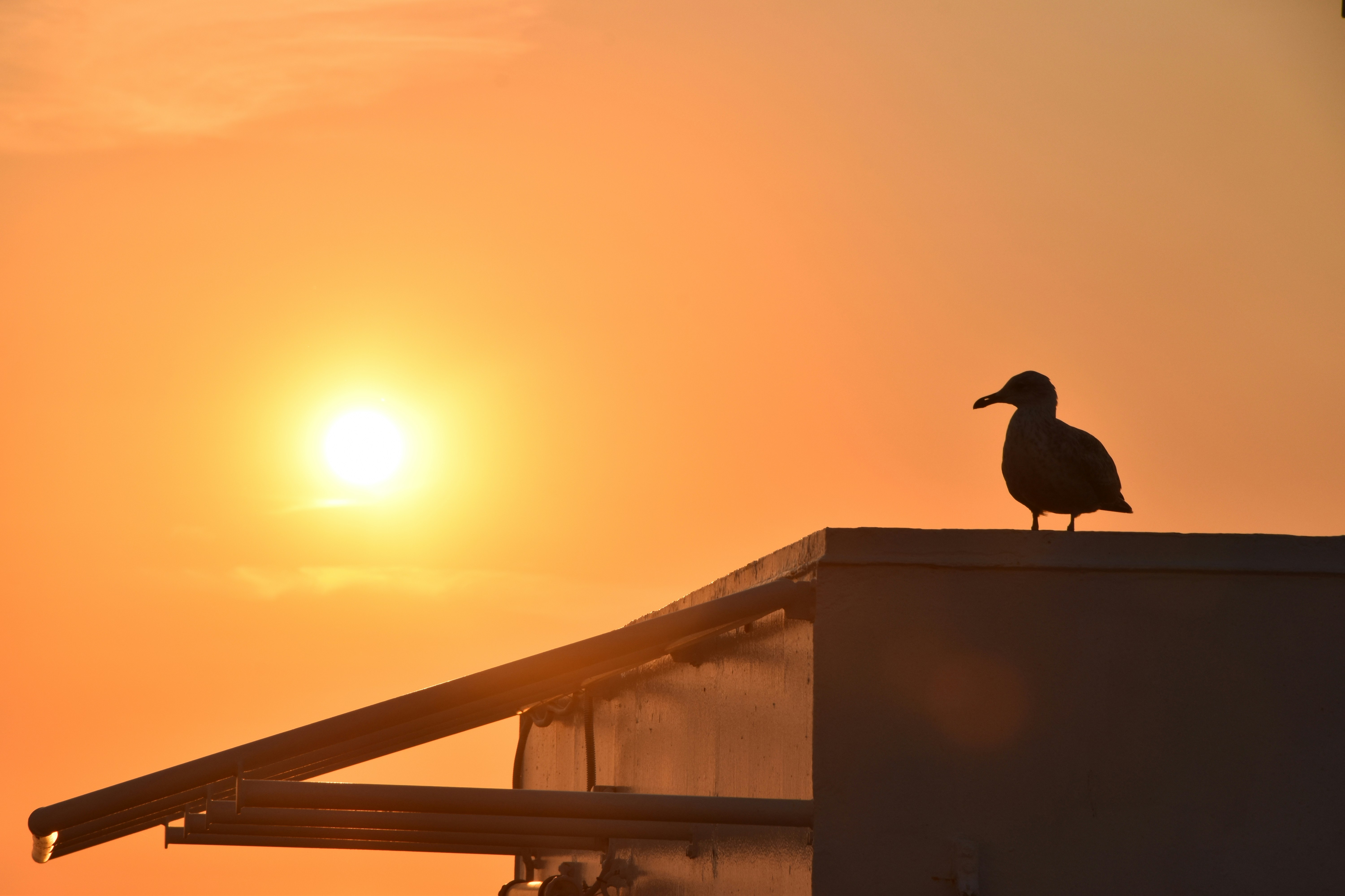 Photo by andras_ratonyi