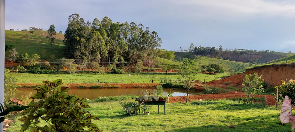 A warm meeting between a rural landowner and a consultant discussing environmental land compensation, surrounded by lush native vegetation.
