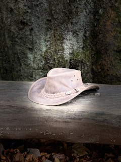 A weathered cowboy hat rests on top of a large, rough-hewn log. The background features a textured tree bark, adding to the rustic setting. Sunlight highlights the braided hatband and the worn material of the hat, casting a soft shadow on the log.