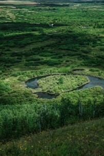 a river running through a green landscape