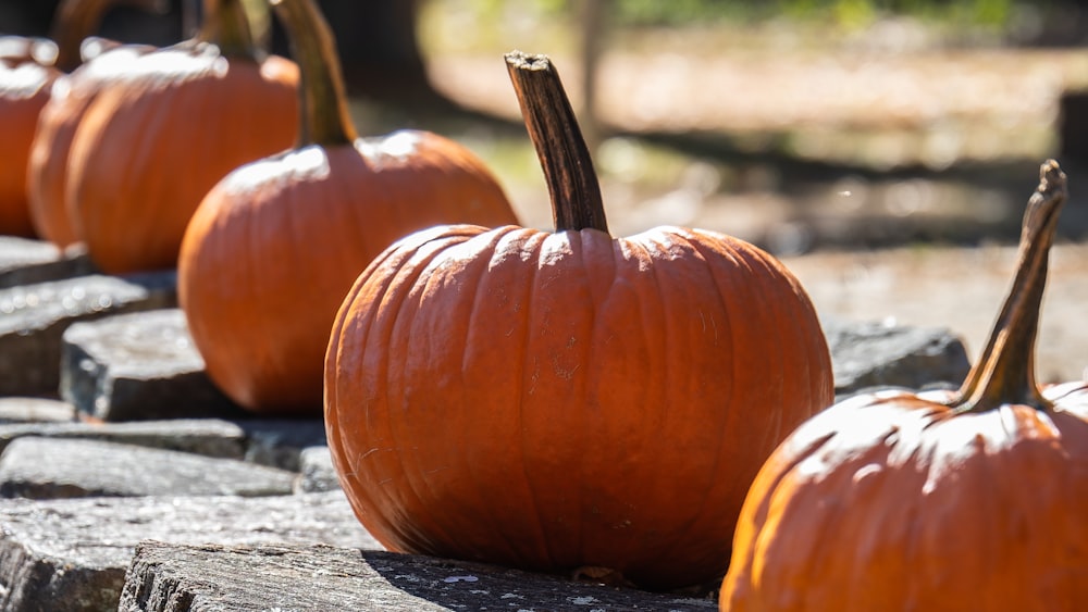 a group of pumpkins