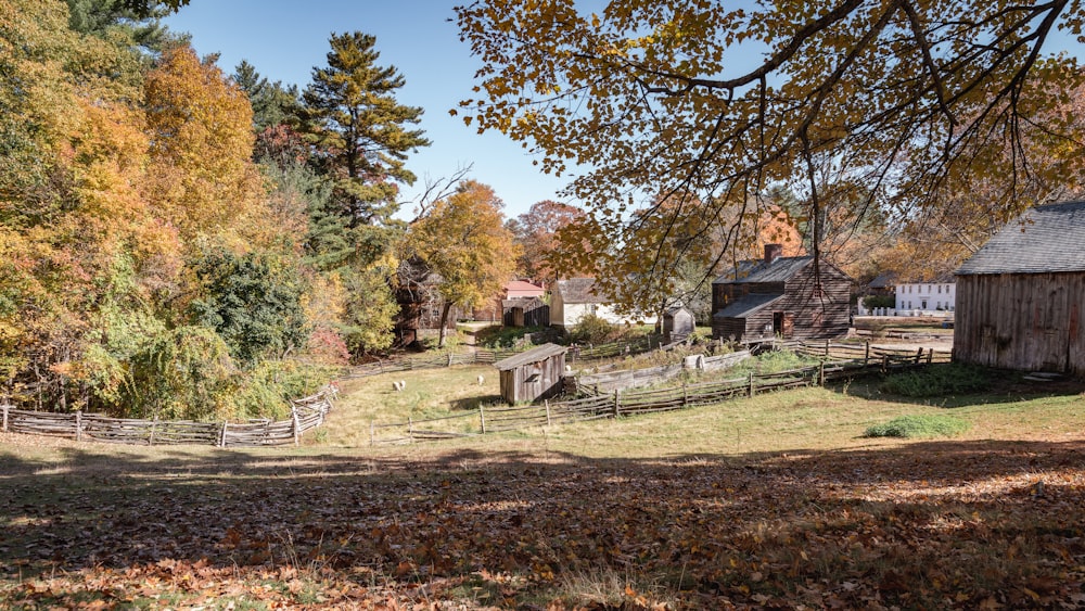 Ein Feld mit Bäumen und Häusern