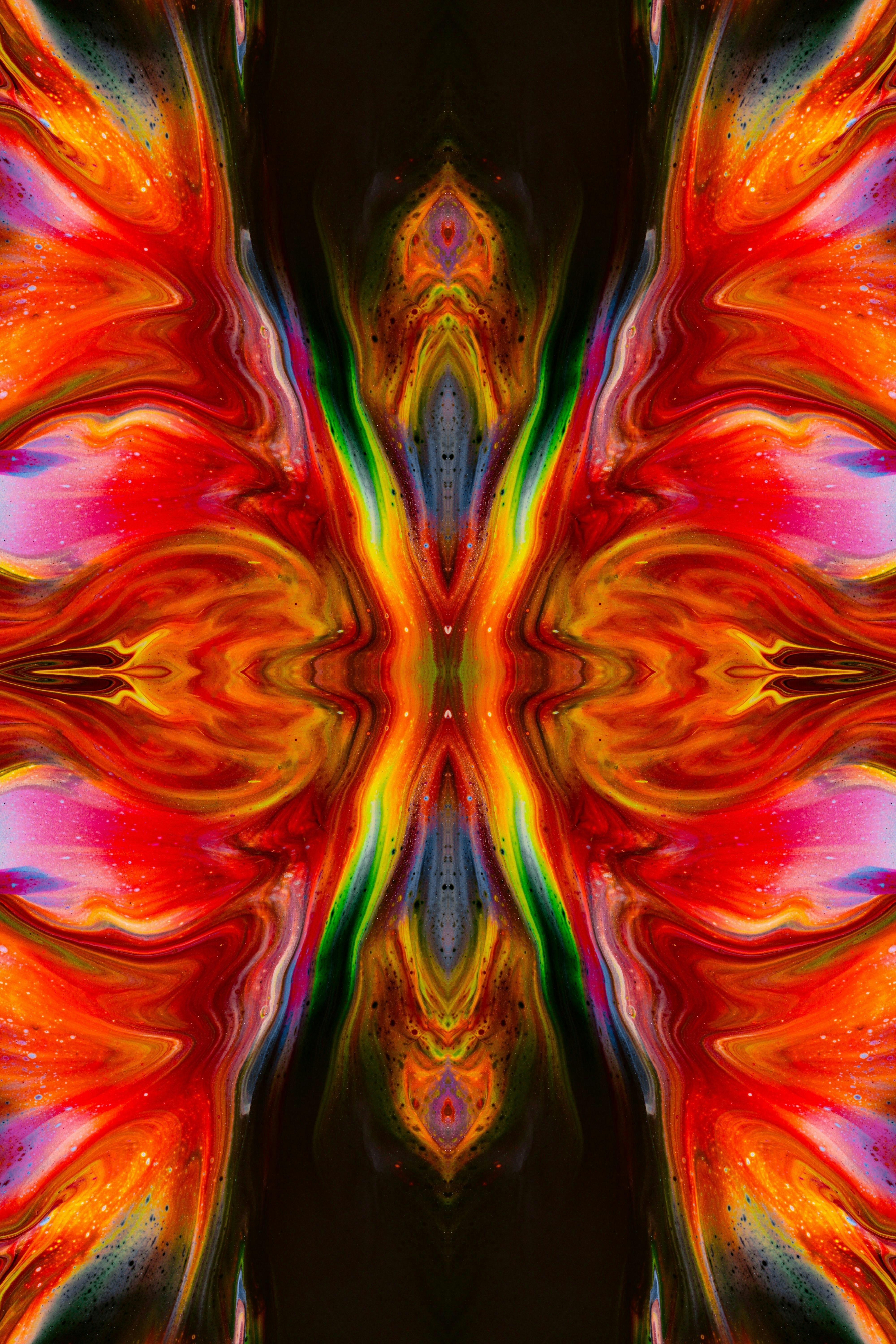 Photo by susan_wilkinson