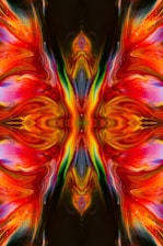 a close up of a colorful object