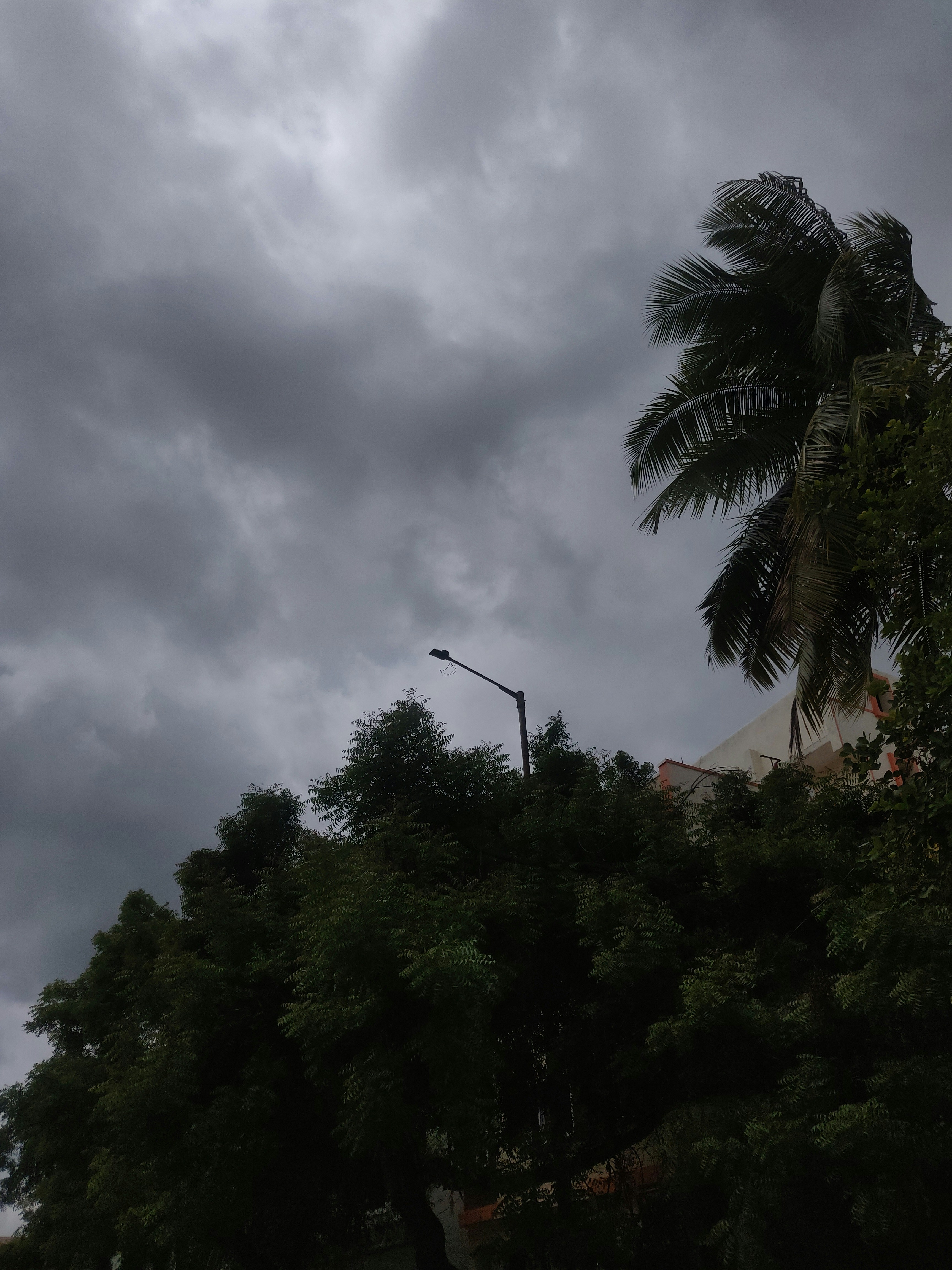 Photo by sanjayreddy1