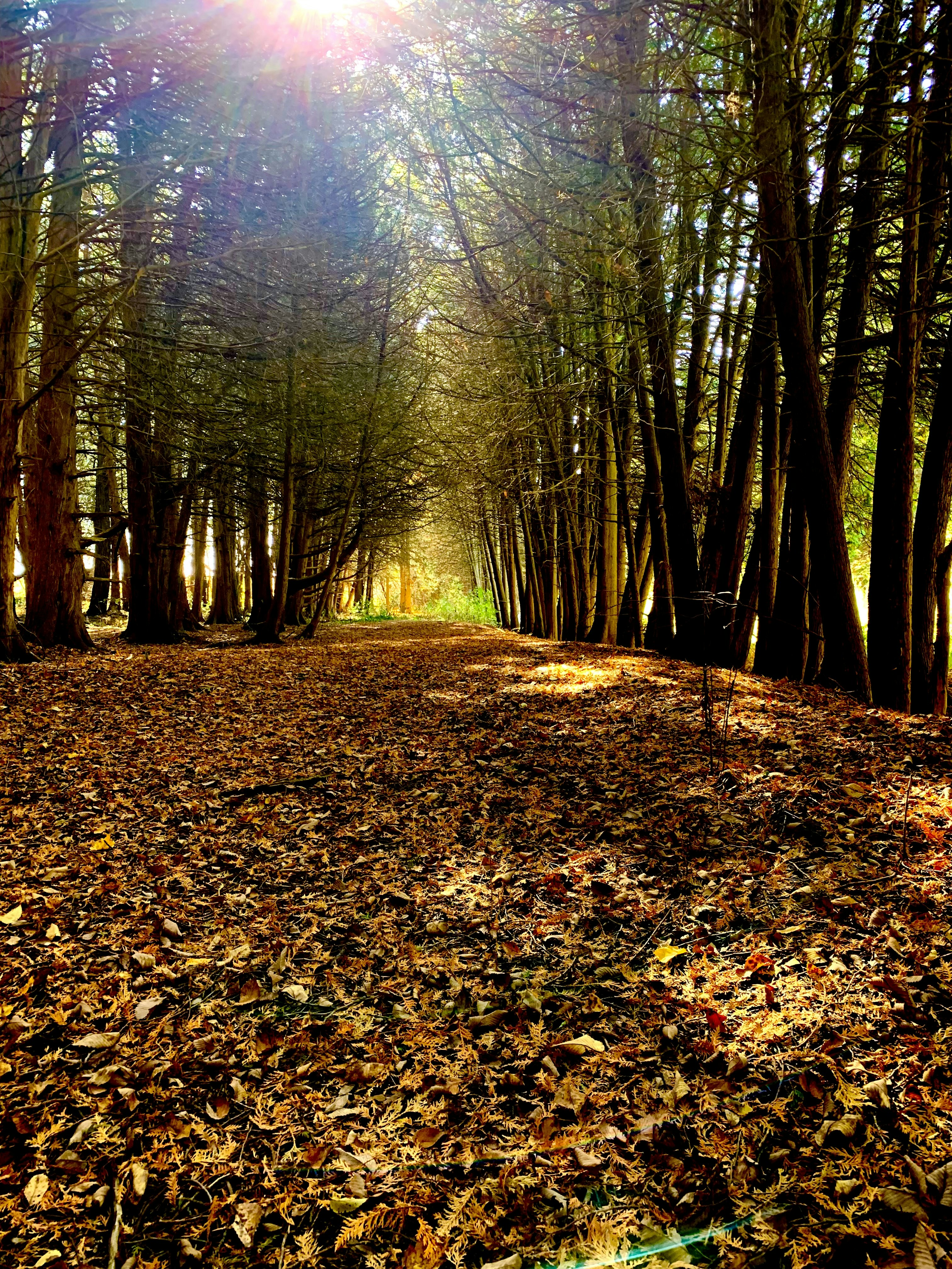 Photo by richardworks