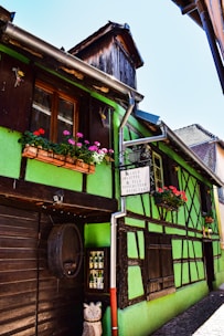 A quaint, half-timbered house features a vibrant green facade with wooden frames and a clay-tiled roof. Bright flowers in window boxes add color, and wooden barrels and sculptures are visible outside. A traditional signboard displays text in French.