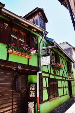 A quaint, half-timbered house features a vibrant green facade with wooden frames and a clay-tiled roof. Bright flowers in window boxes add color, and wooden barrels and sculptures are visible outside. A traditional signboard displays text in French.