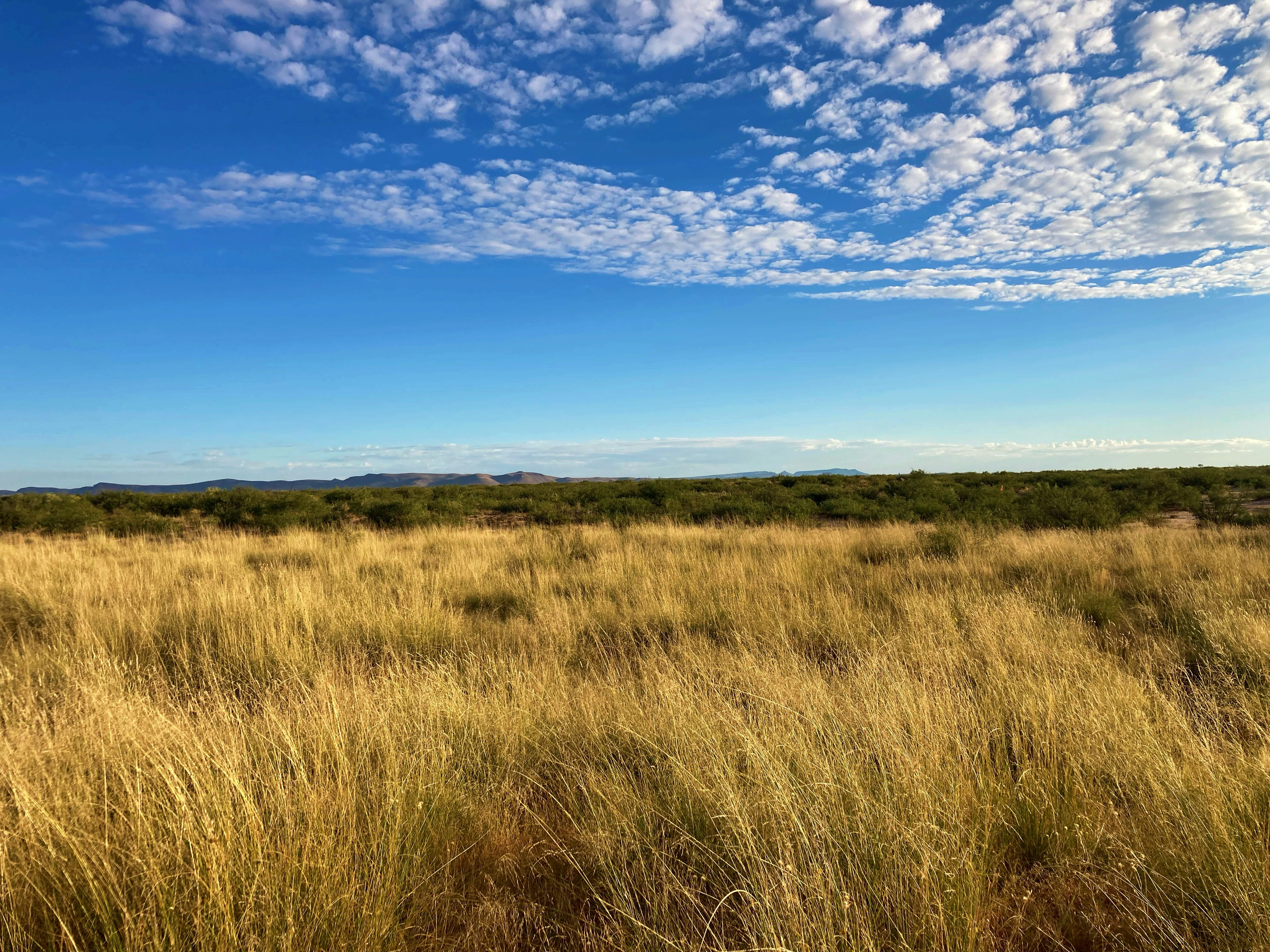 Photo by jrdnvandyke