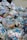A large pile of household waste, primarily consisting of plastic bags filled with various types of cartons and bottles. The waste is organized in transparent bags with visible branding and labels.