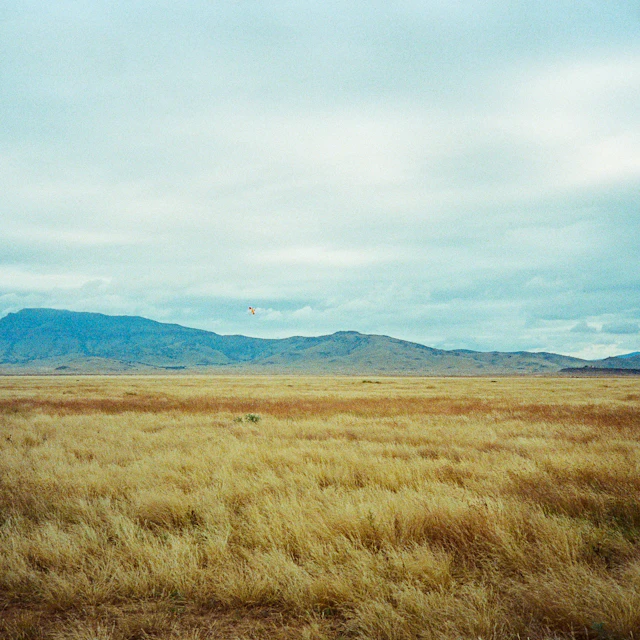 A field of brown grass with mountains in the background under a wide sky