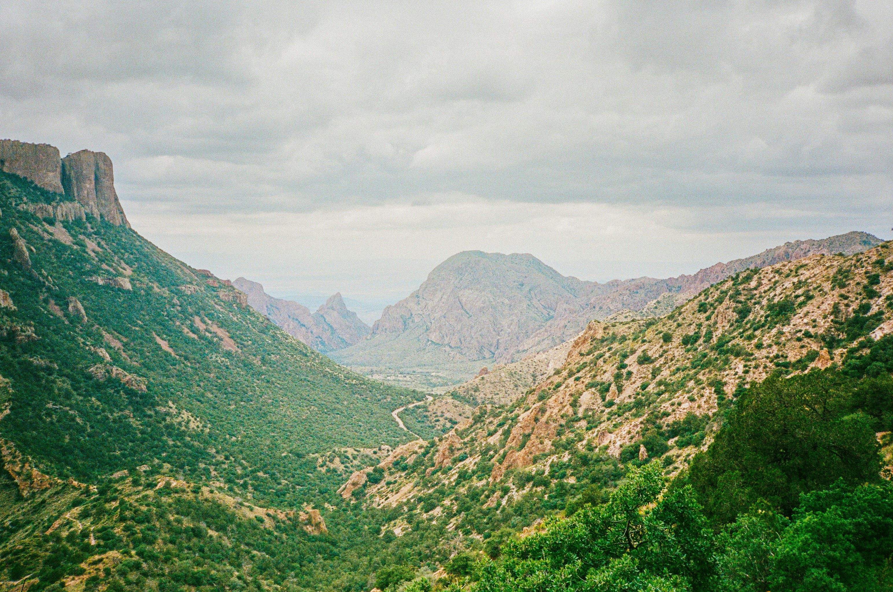 Photo by bycharlieco