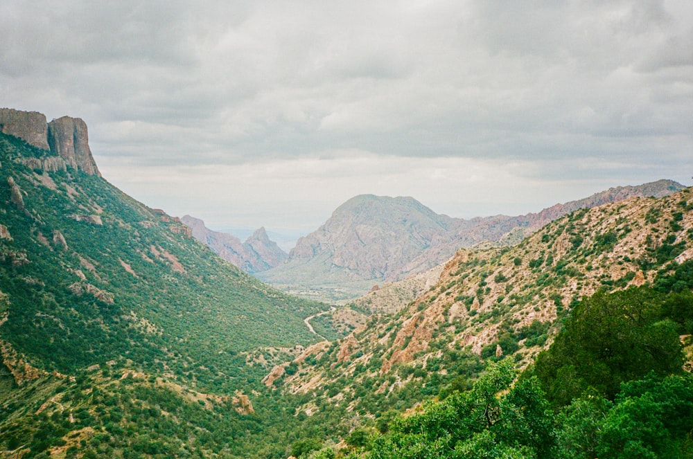 a valley with trees and mountains in the background