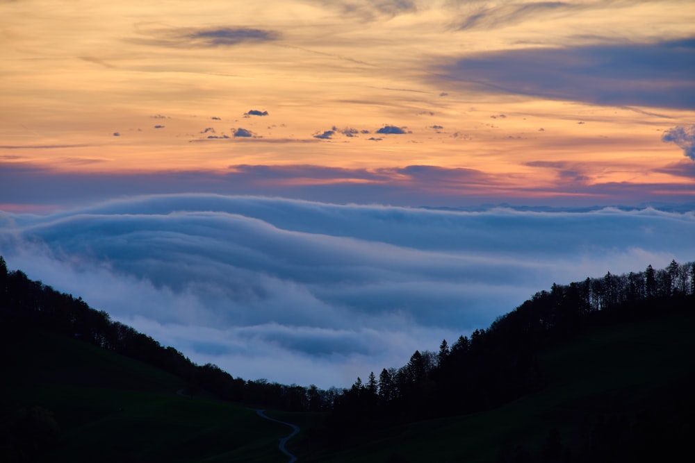 a road going through a foggy valley