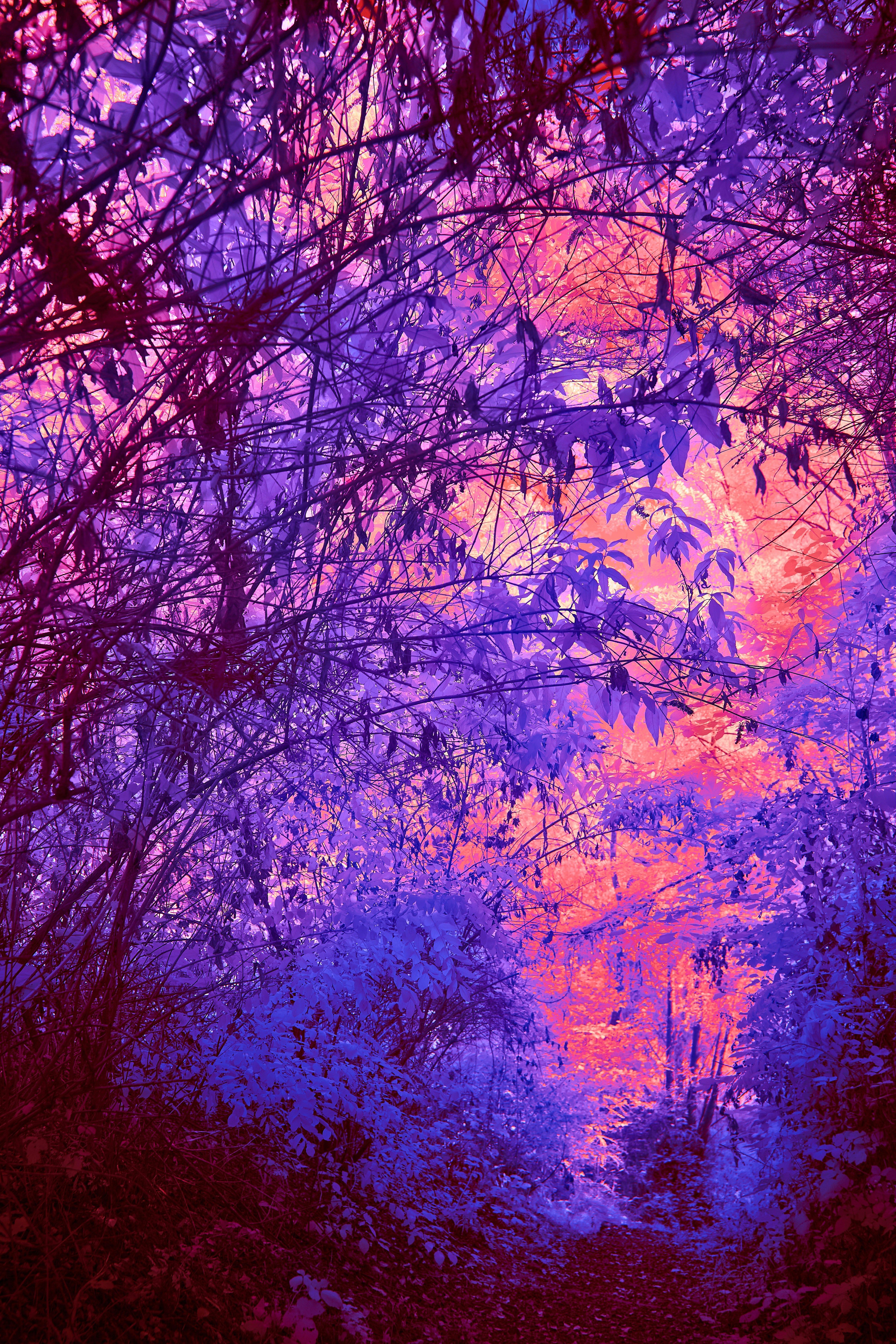 Photo by wolfgang_hasselmann