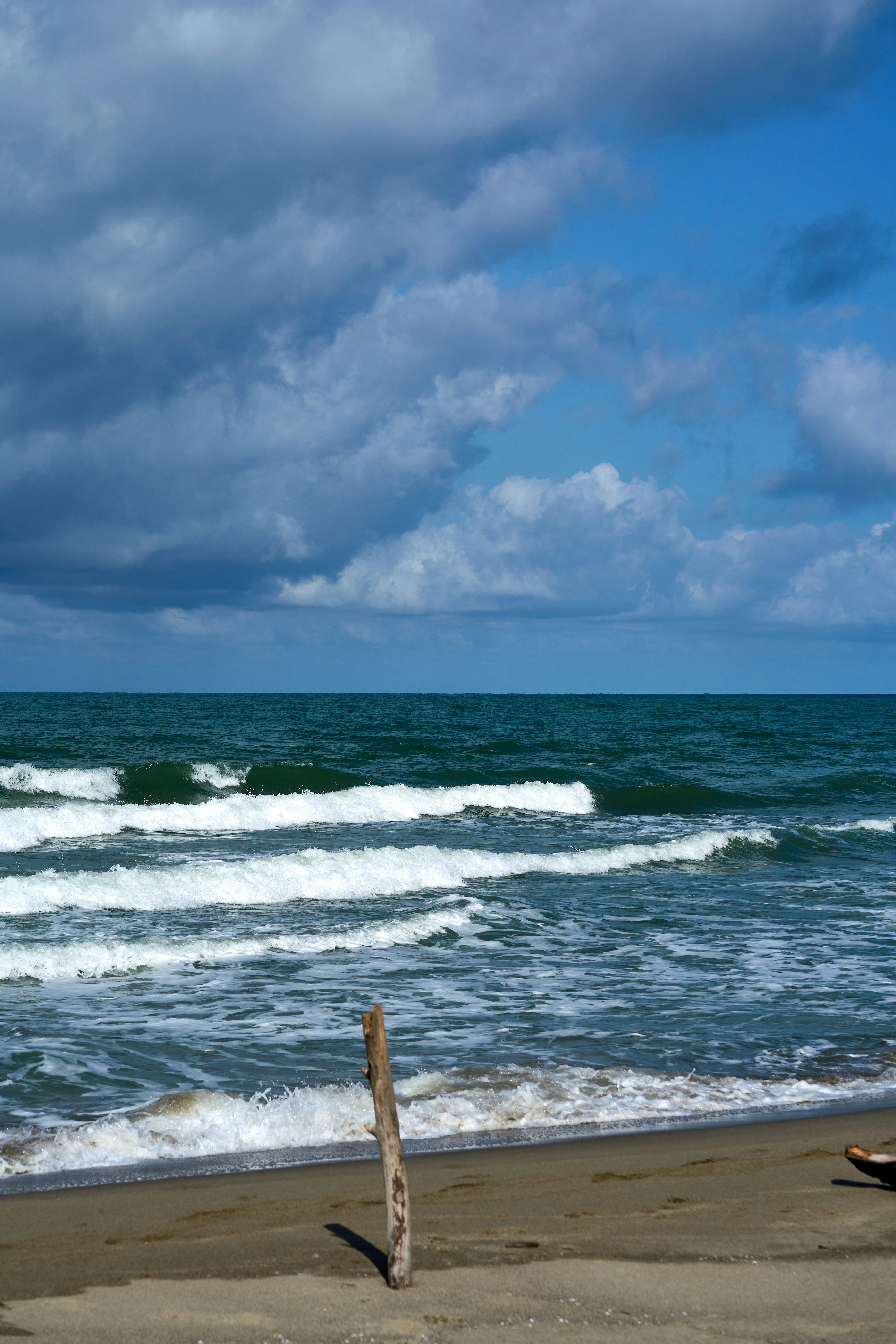 Photo by wolfgang_hasselmann