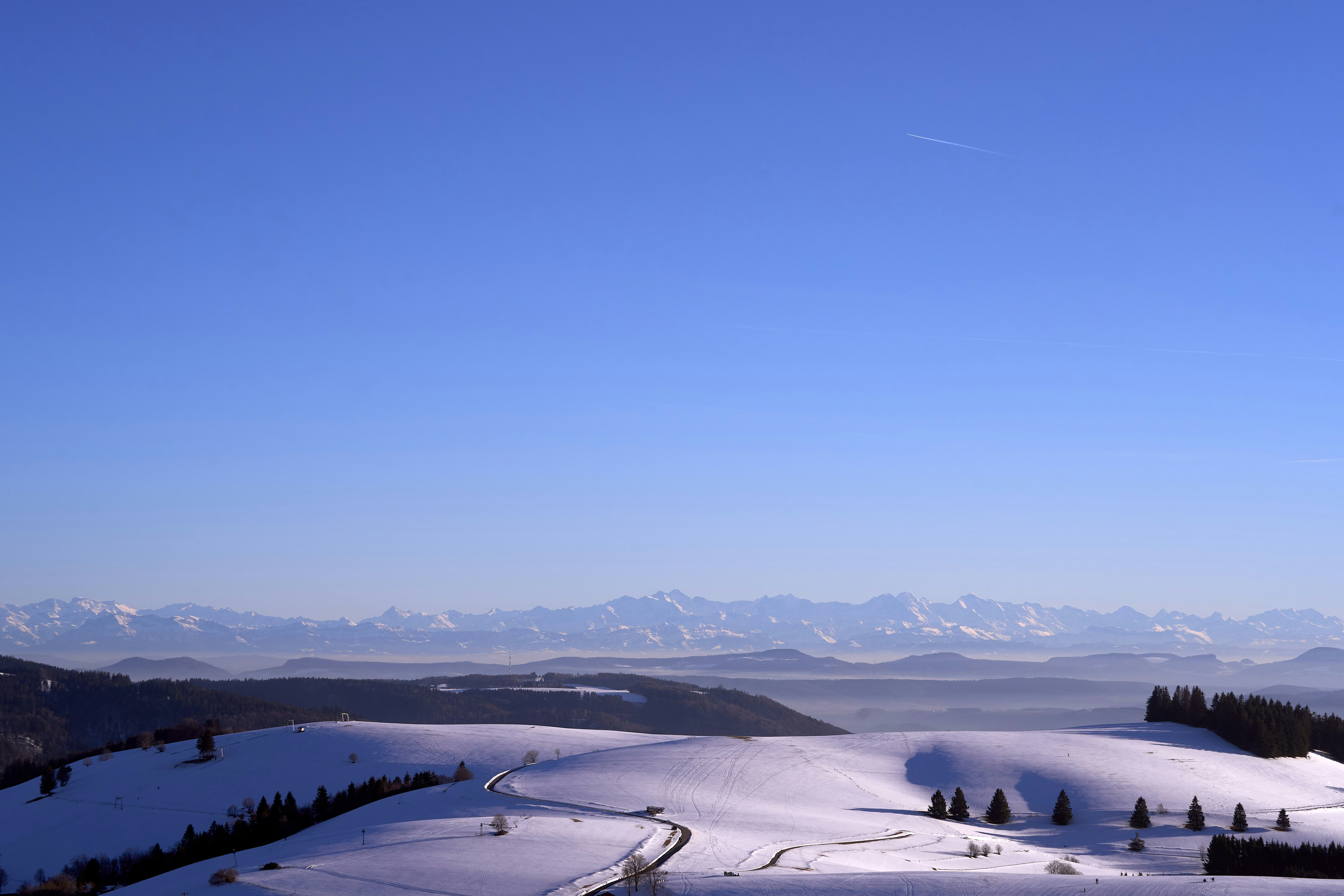 Photo by wolfgang_hasselmann