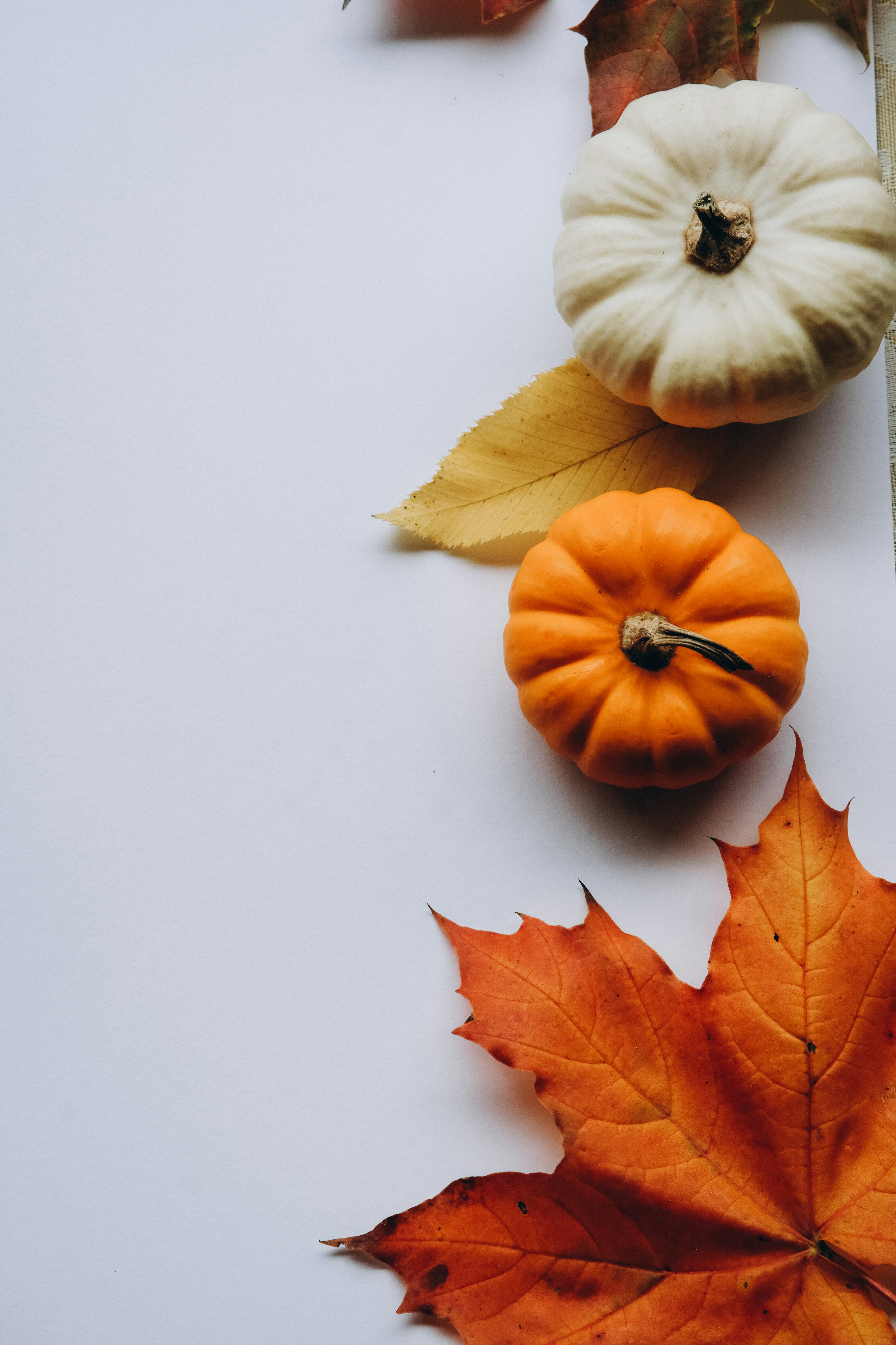 Photo by natashakovtun