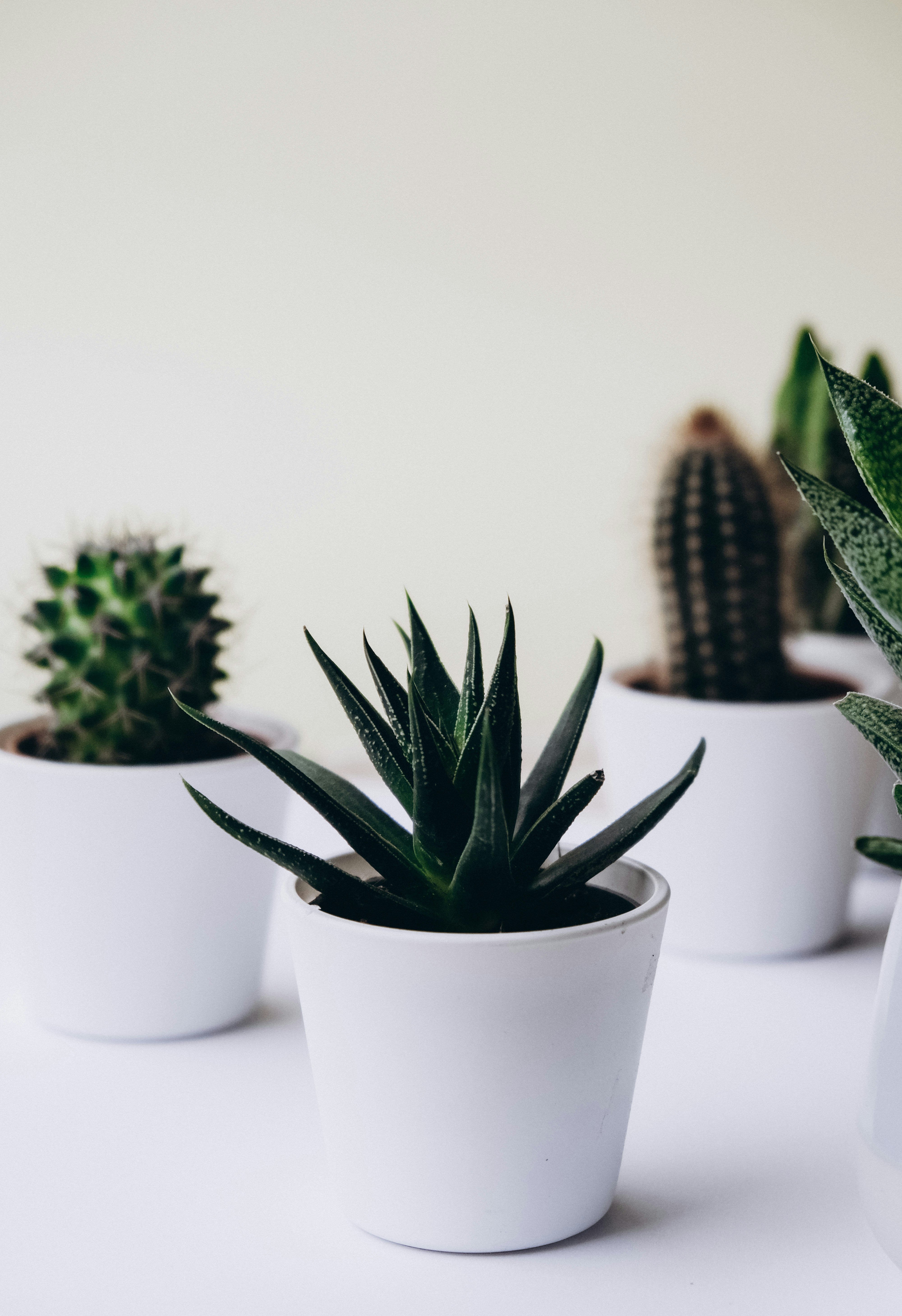 Photo by natashakovtun