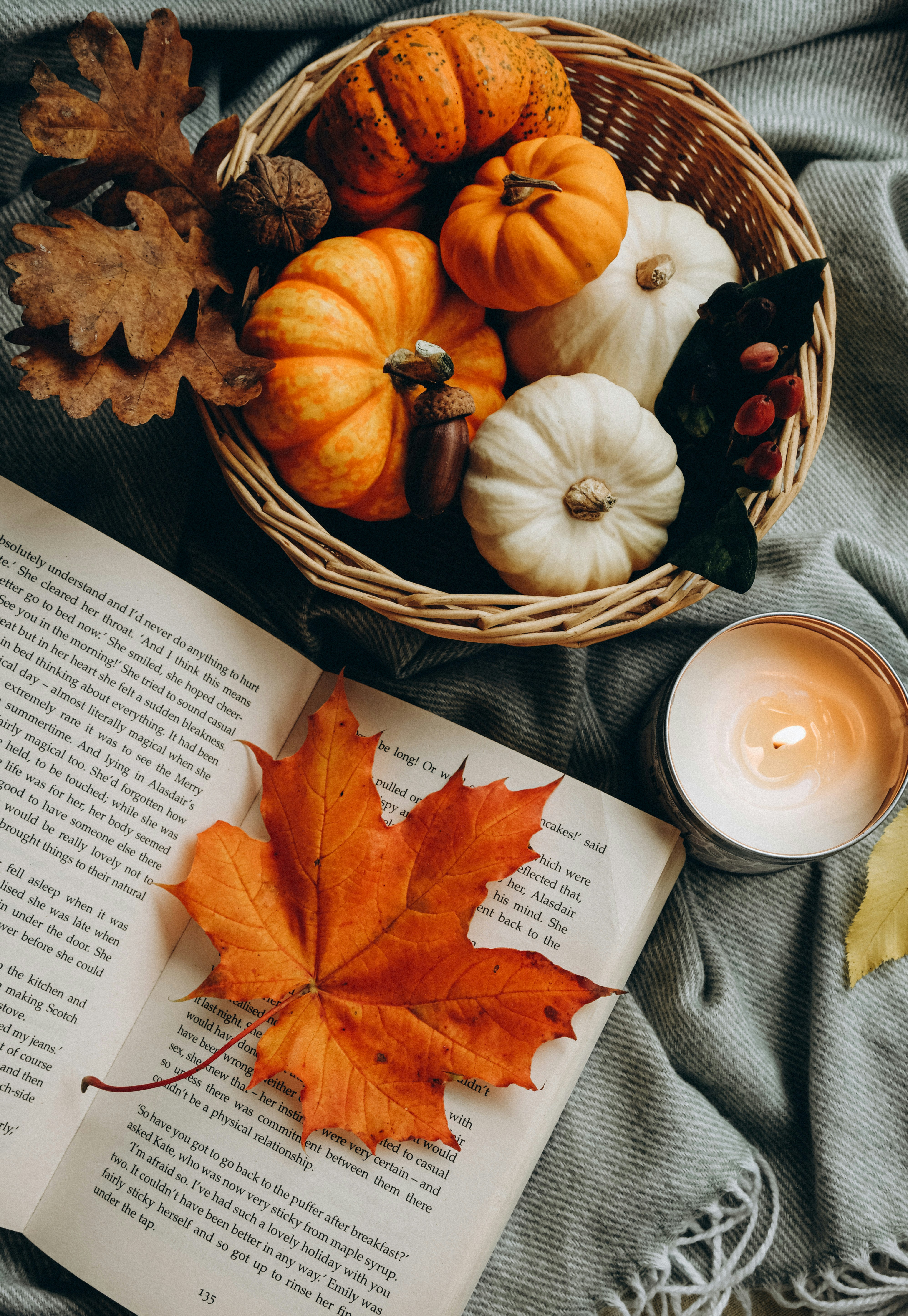 Imágenes de Libro De Otoño | Descarga imágenes gratuitas en Unsplash, image size:3000x4349