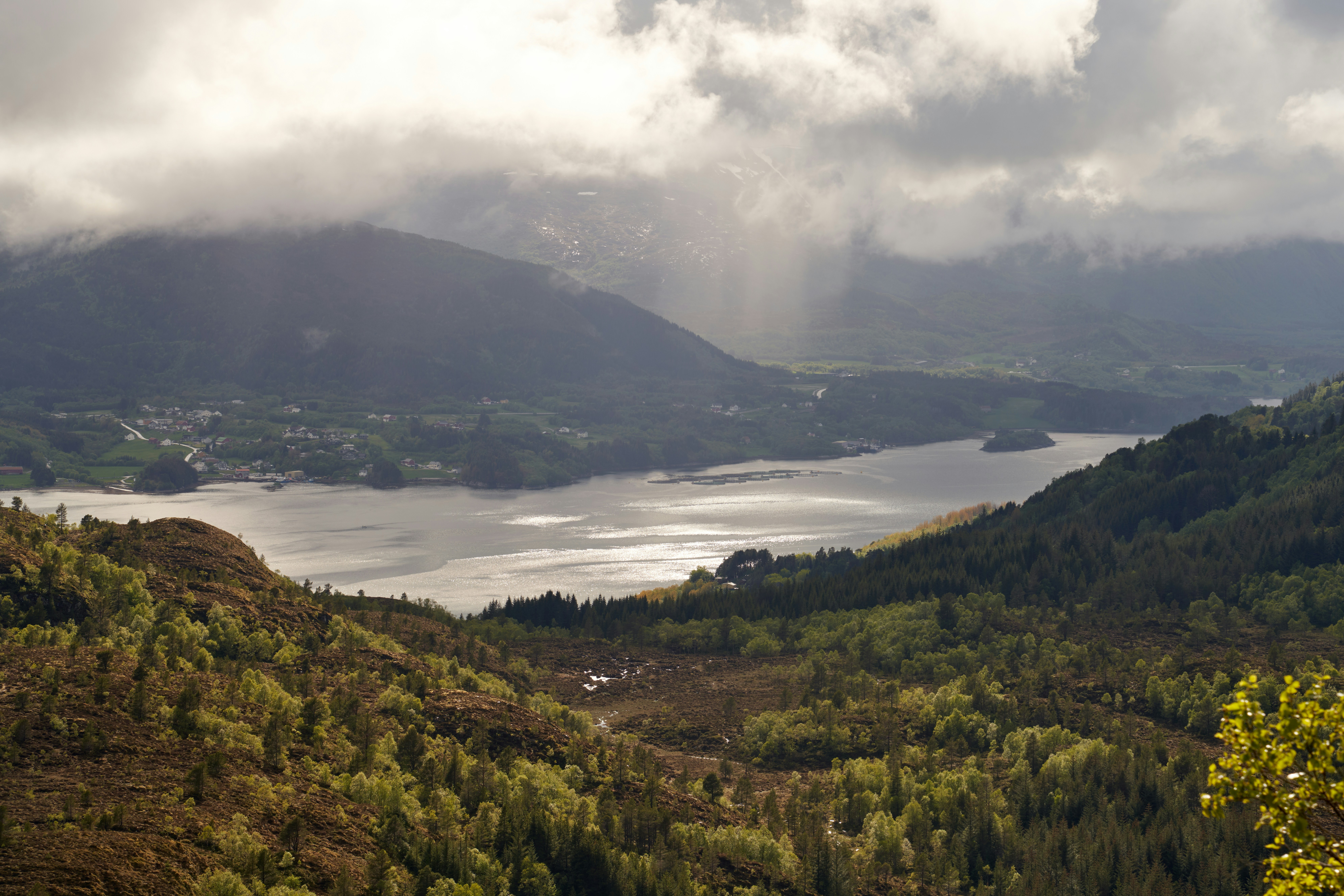 Photo by davotibarna