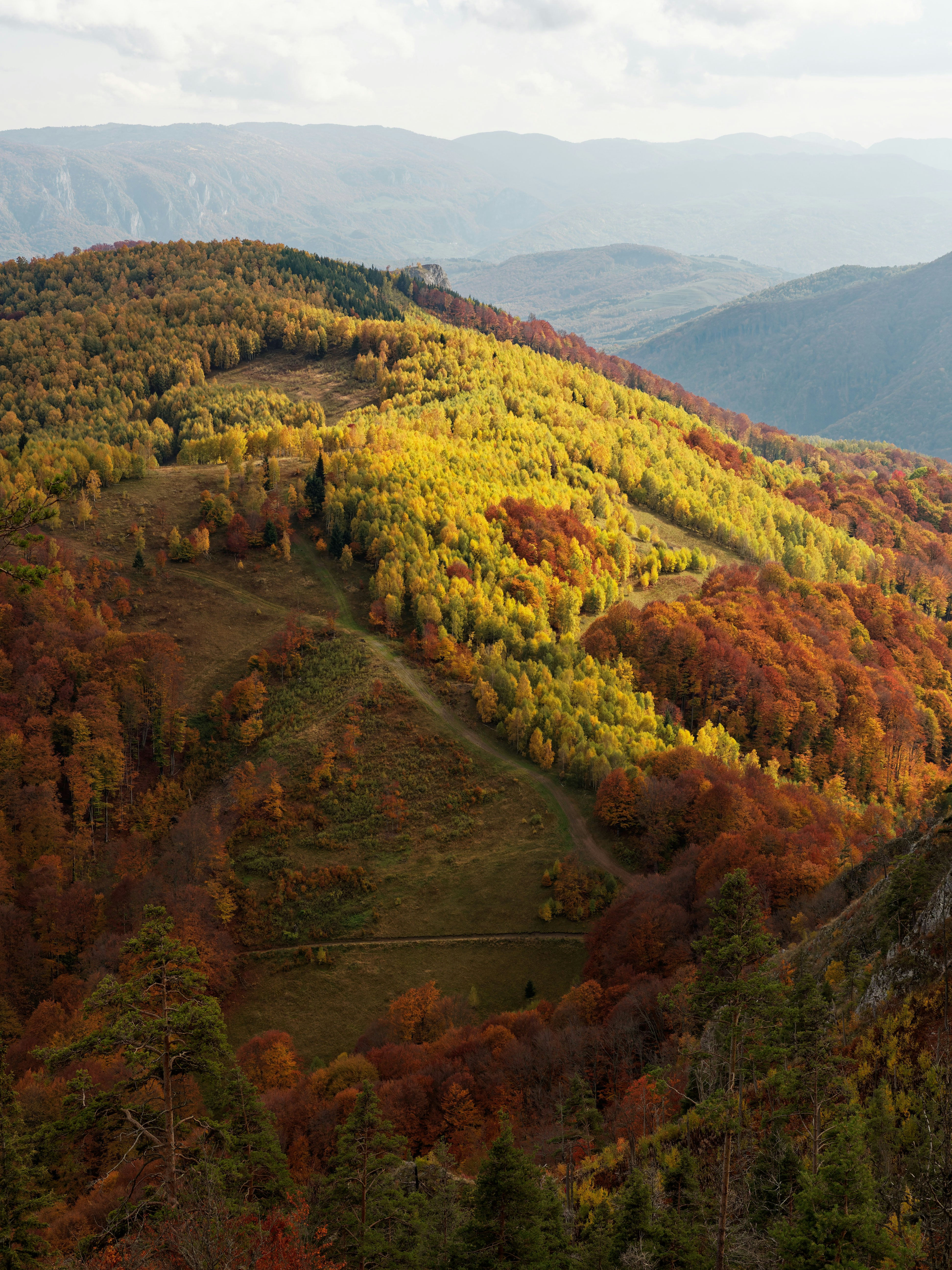 Photo by illes_cristi