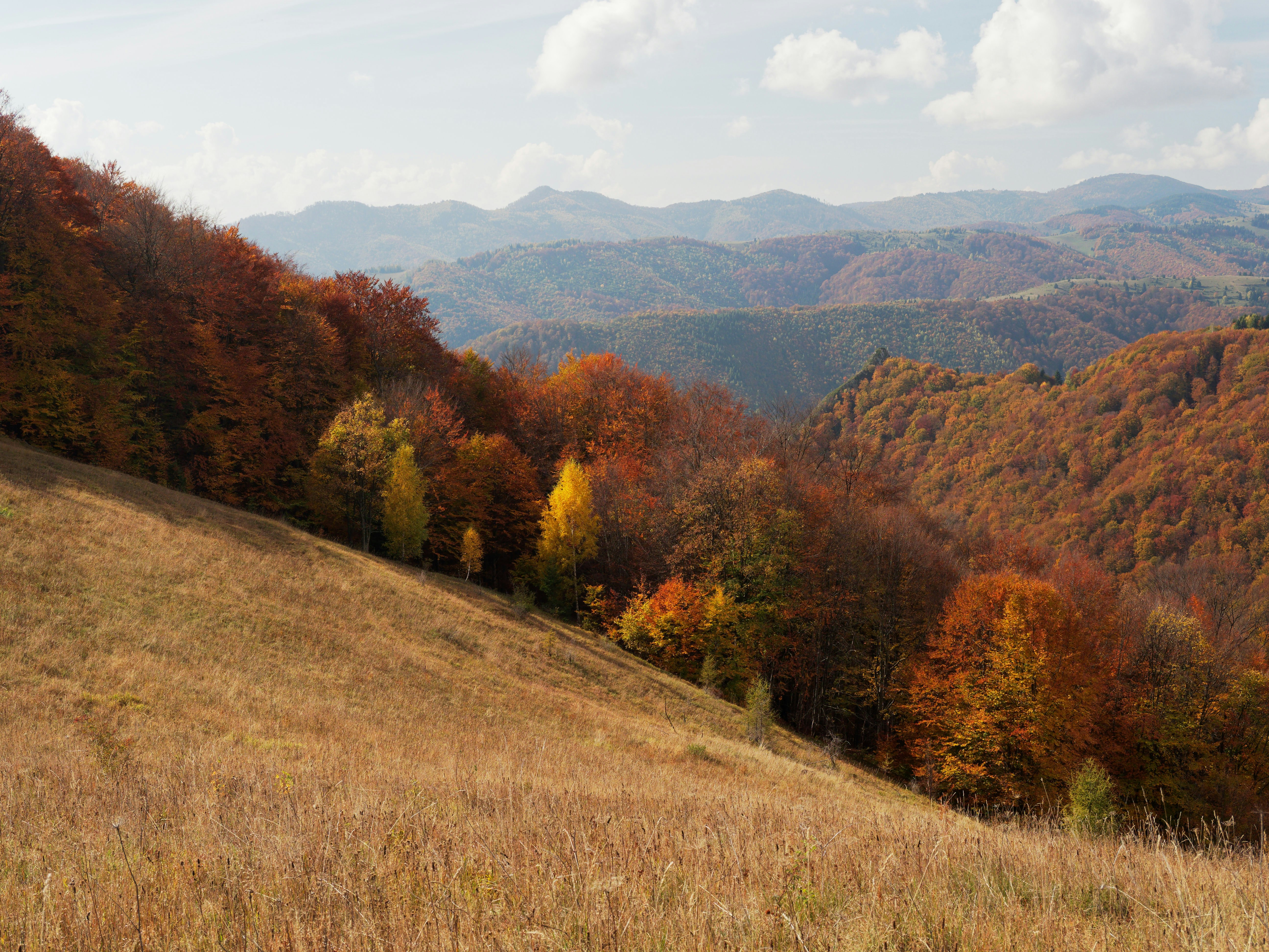 Photo by illes_cristi