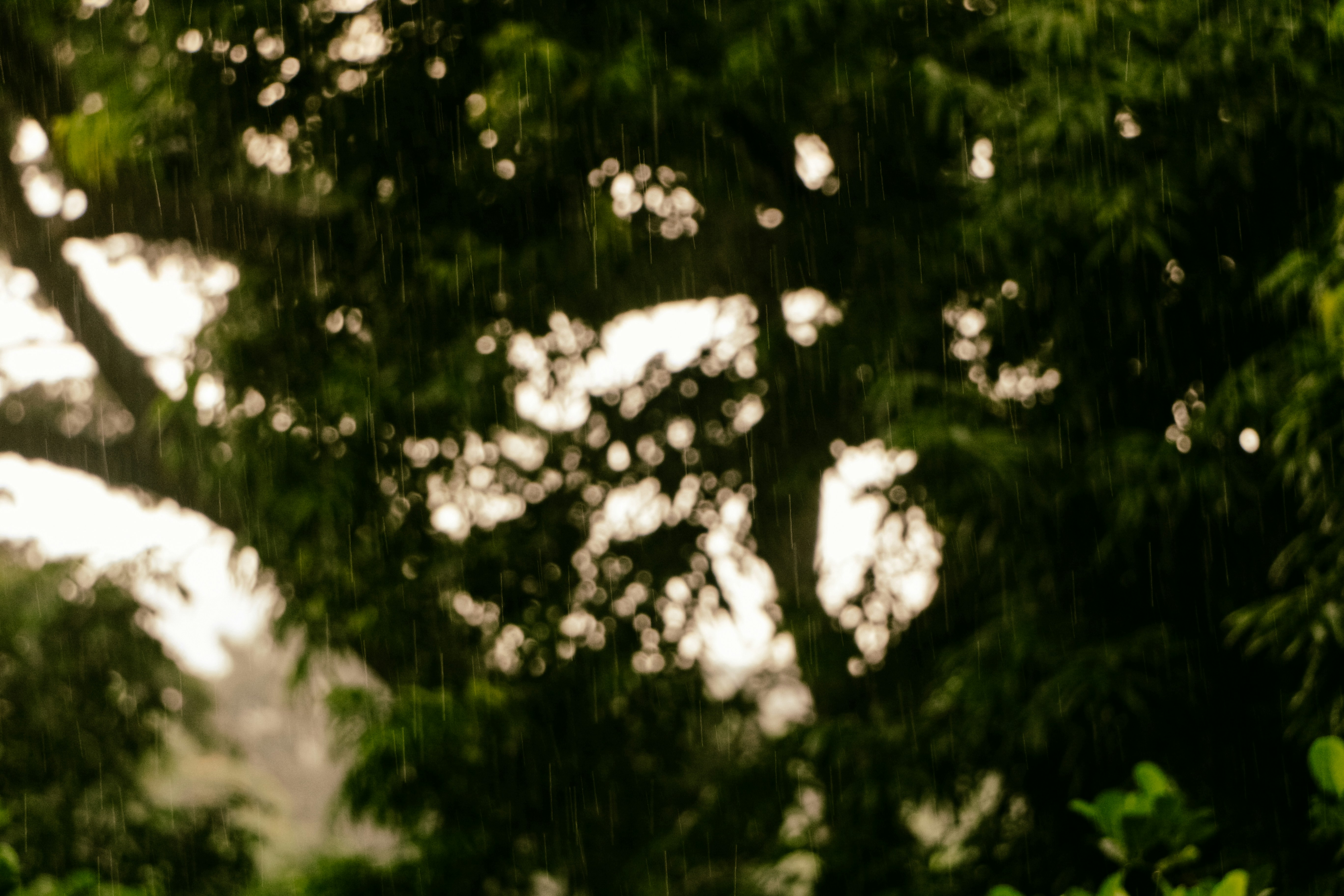 Photo by neha1301039