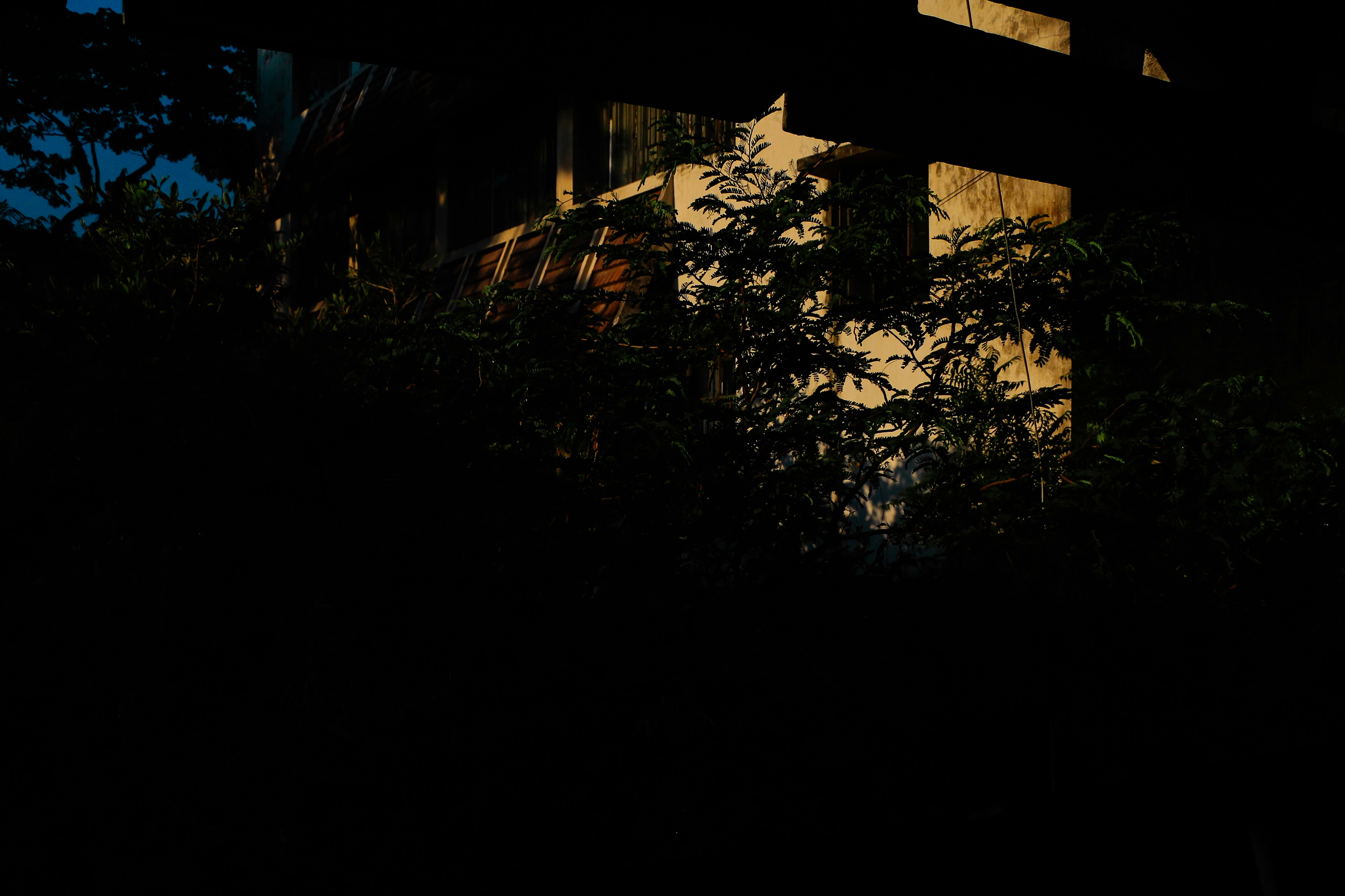 Photo by neha1301039