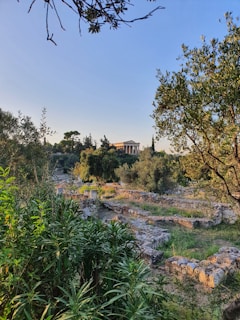A landscape features greenery with various trees and shrubs, leading to ancient stone ruins in the foreground. In the distance, a classical temple structure with columns is visible under a clear blue sky, suggesting a serene and historical setting.