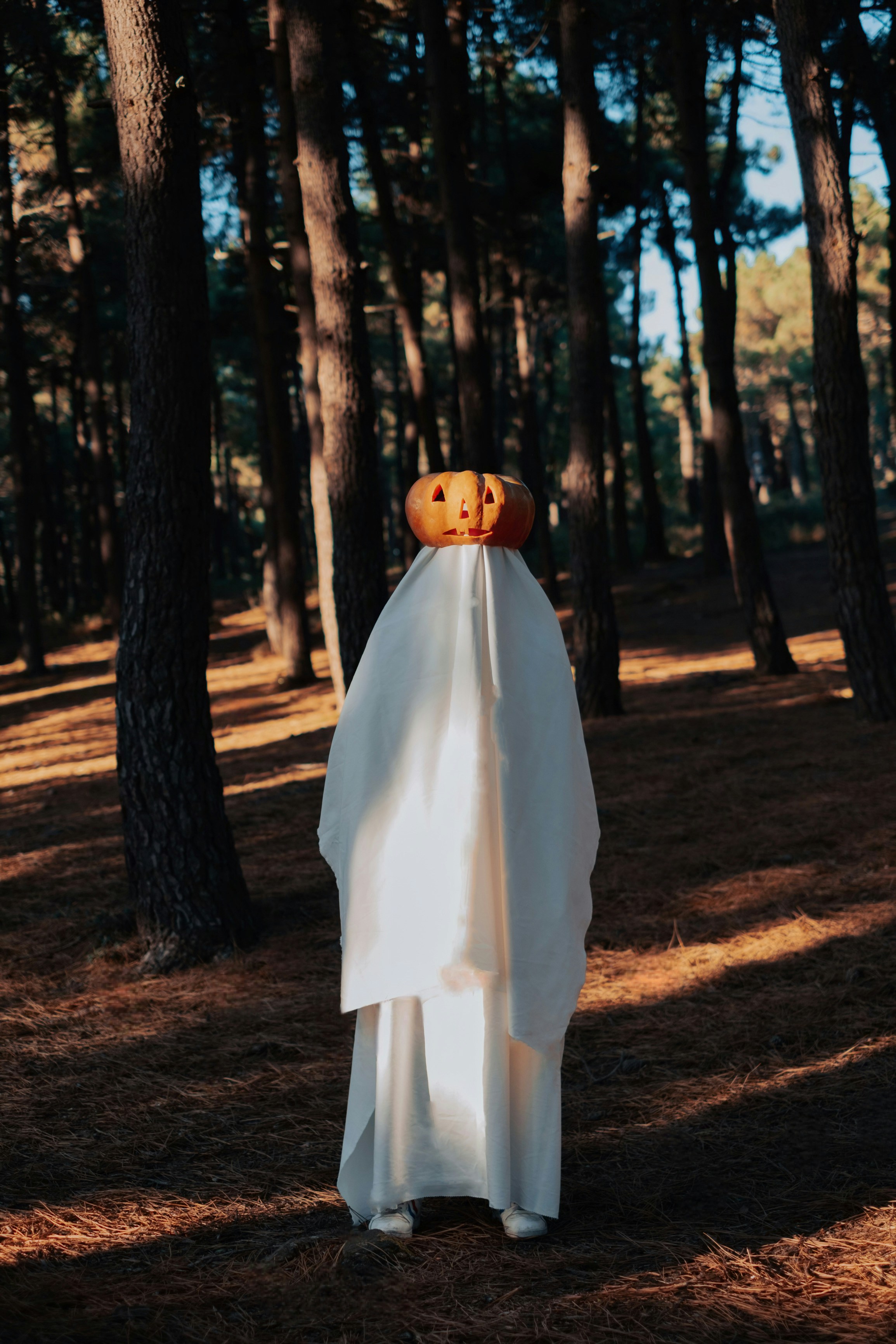 Photo by haticebaran