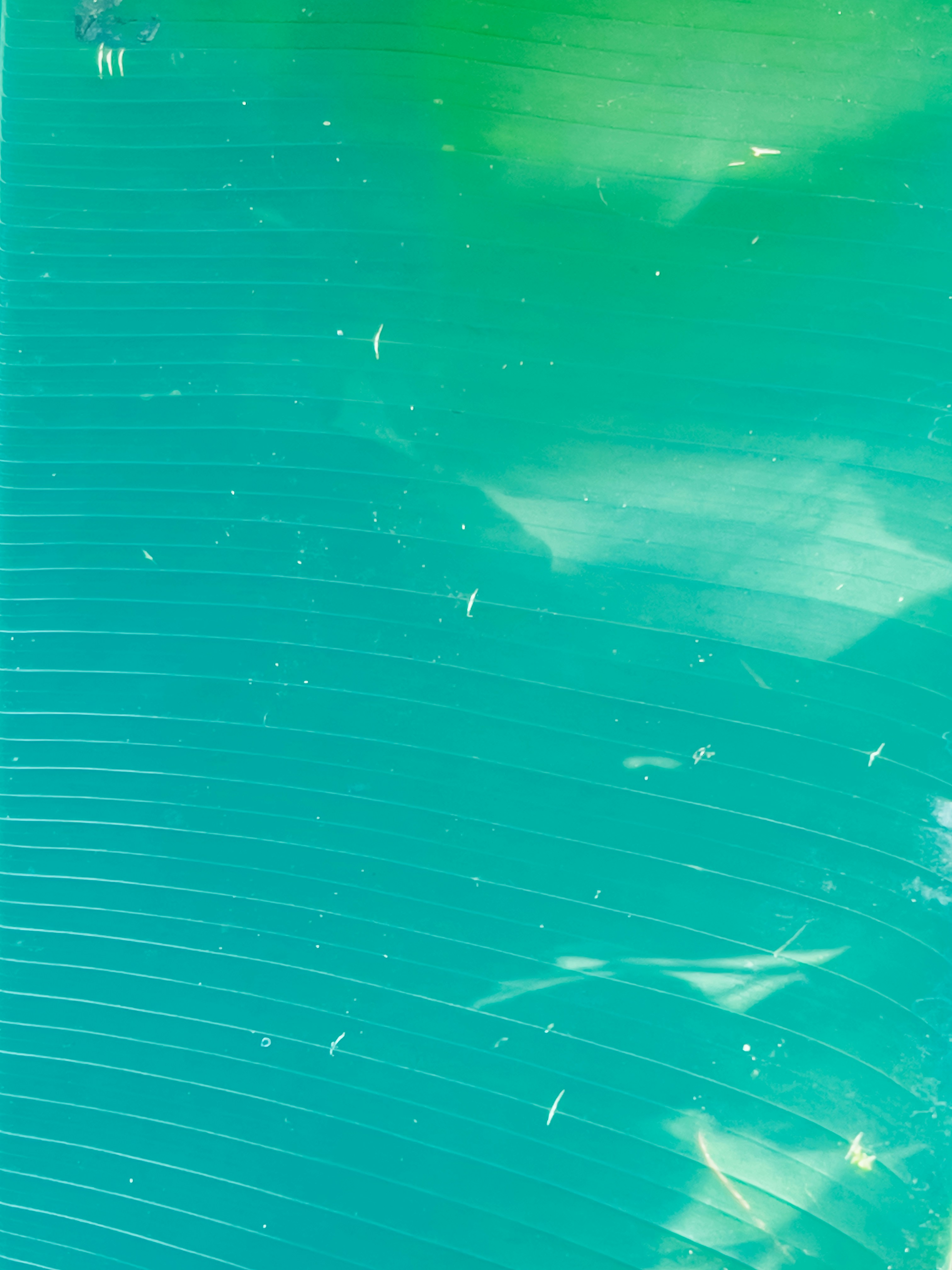 Photo by gerdadesign