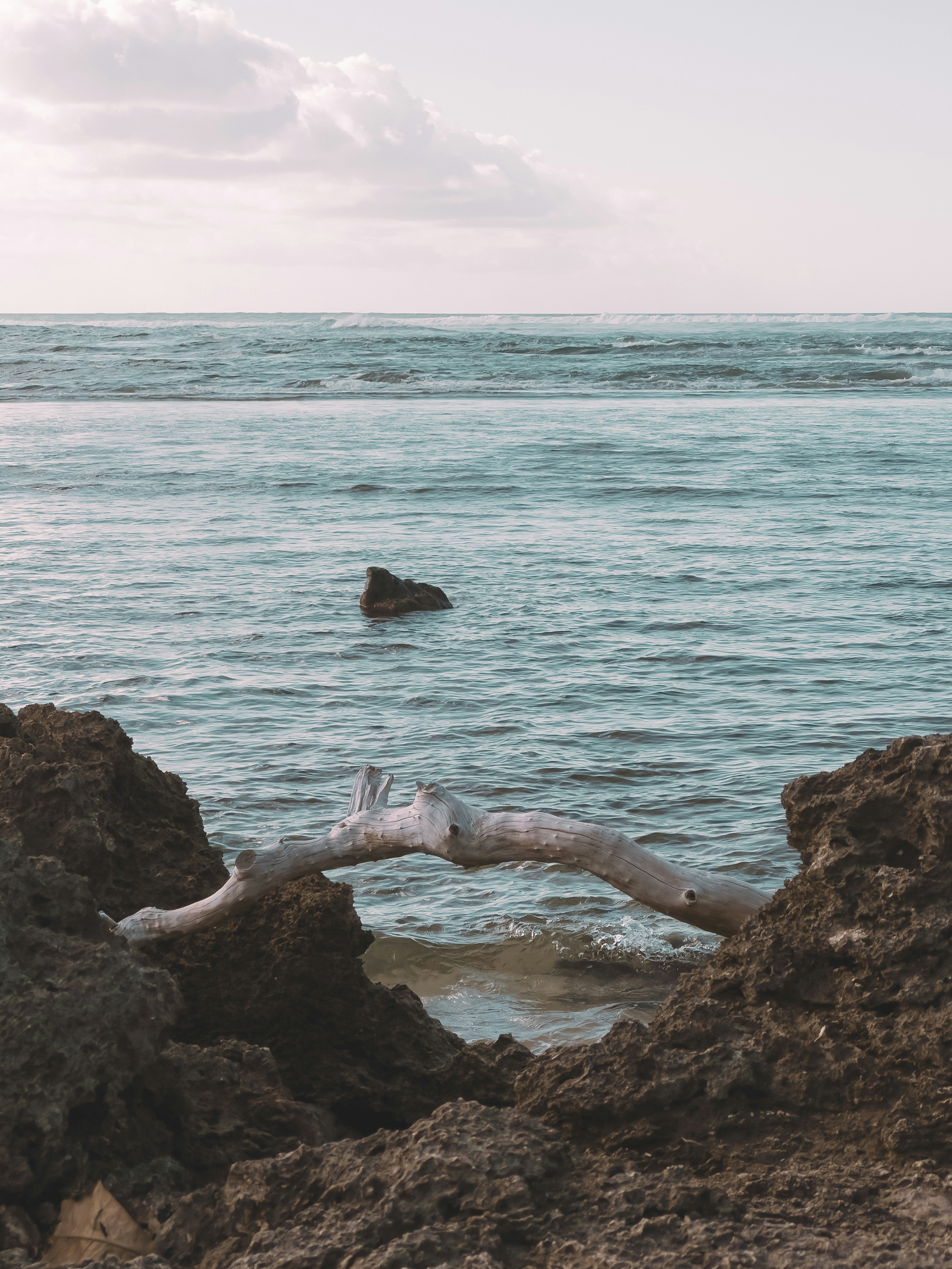 Photo by gerdadesign