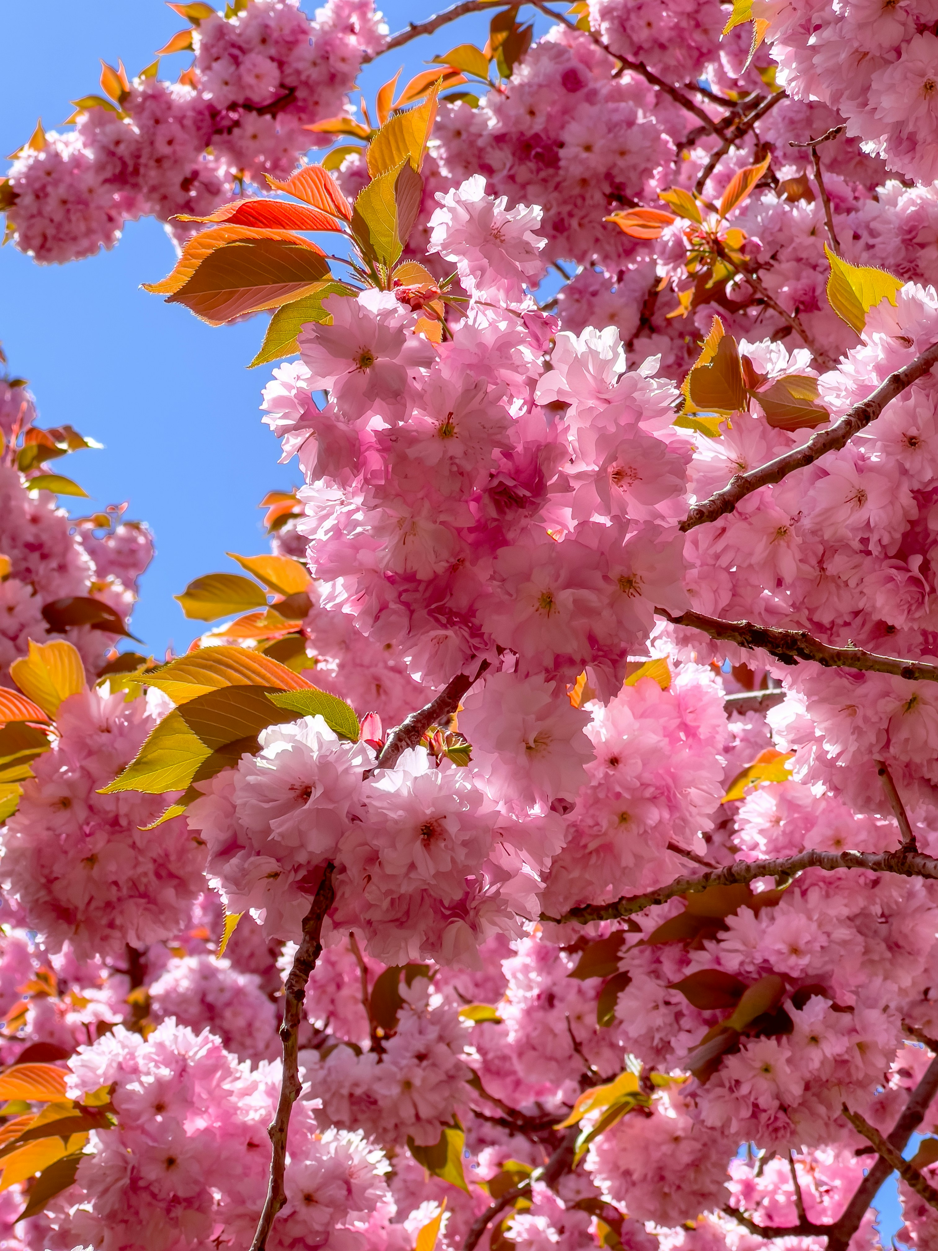 Photo by gerdadesign