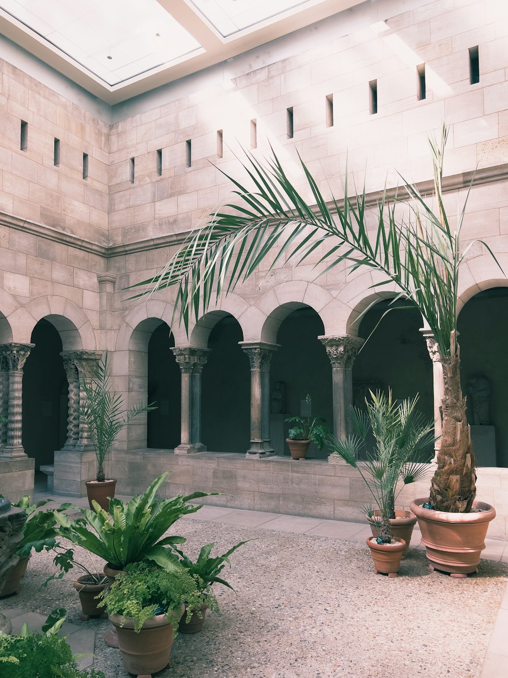 a courtyard with trees and plants