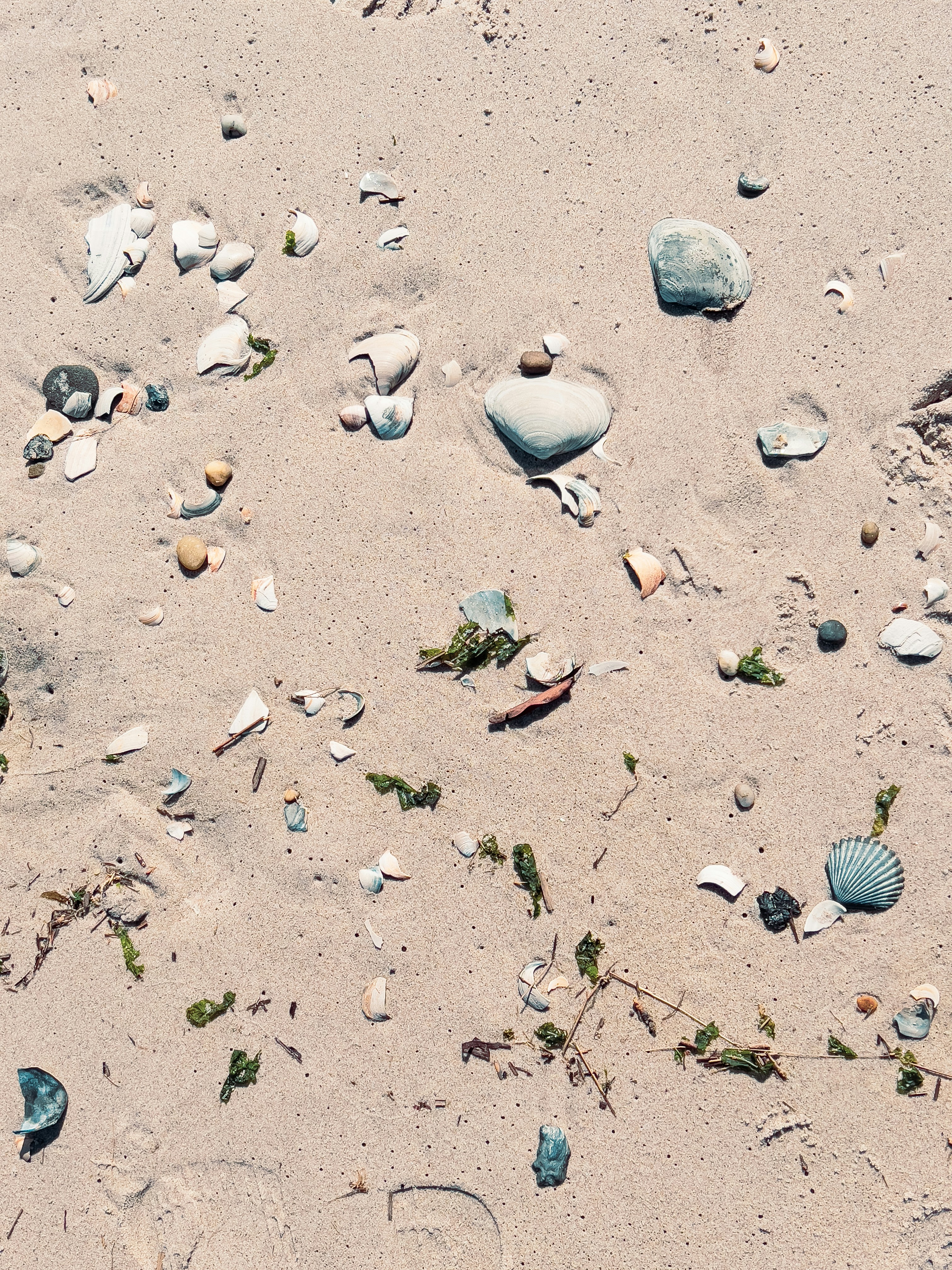 Photo by gerdadesign