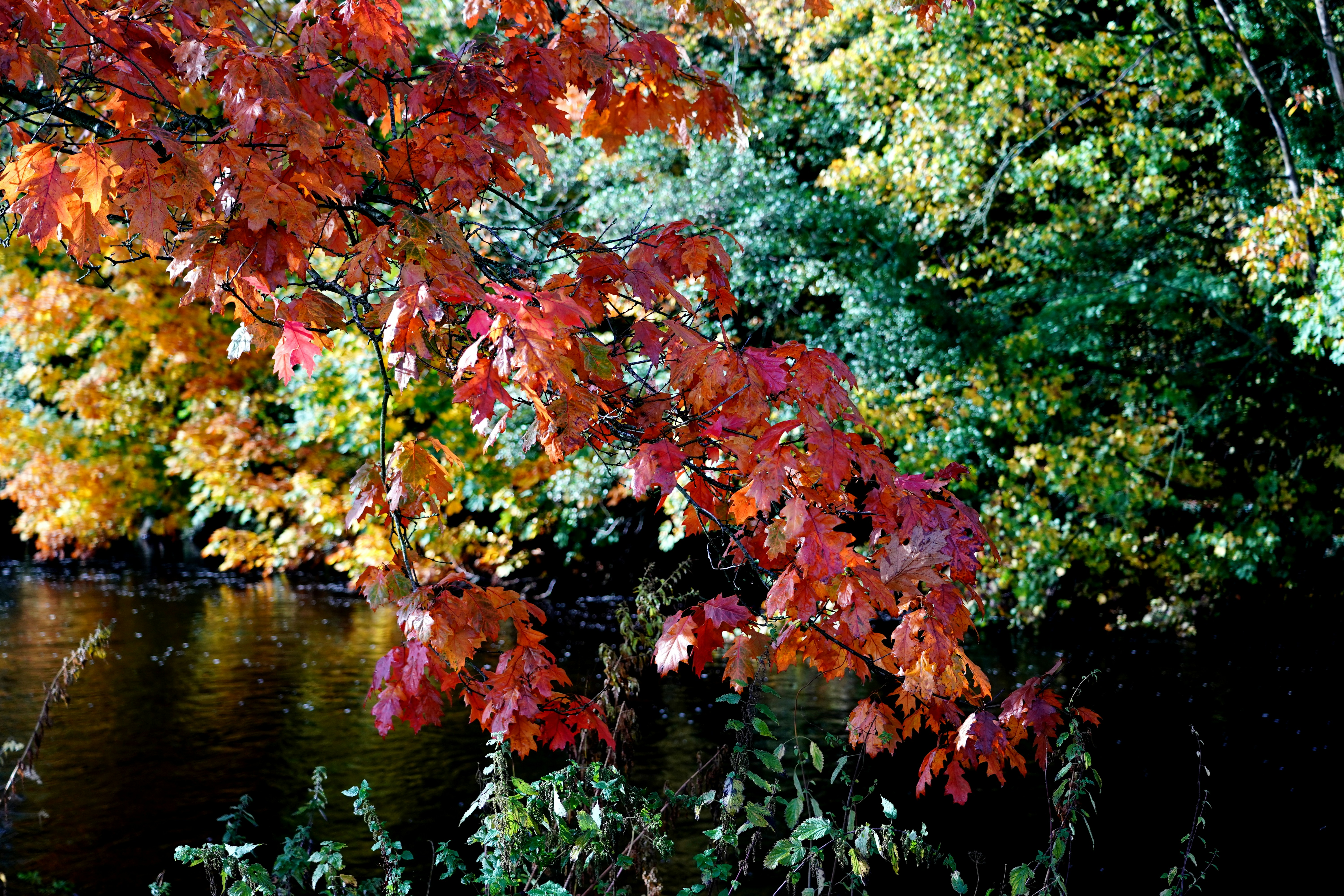 Image by Martin Wemyss via Unsplash