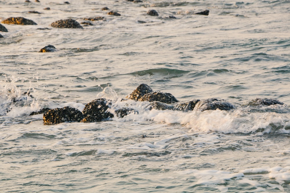 waves crashing on rocks