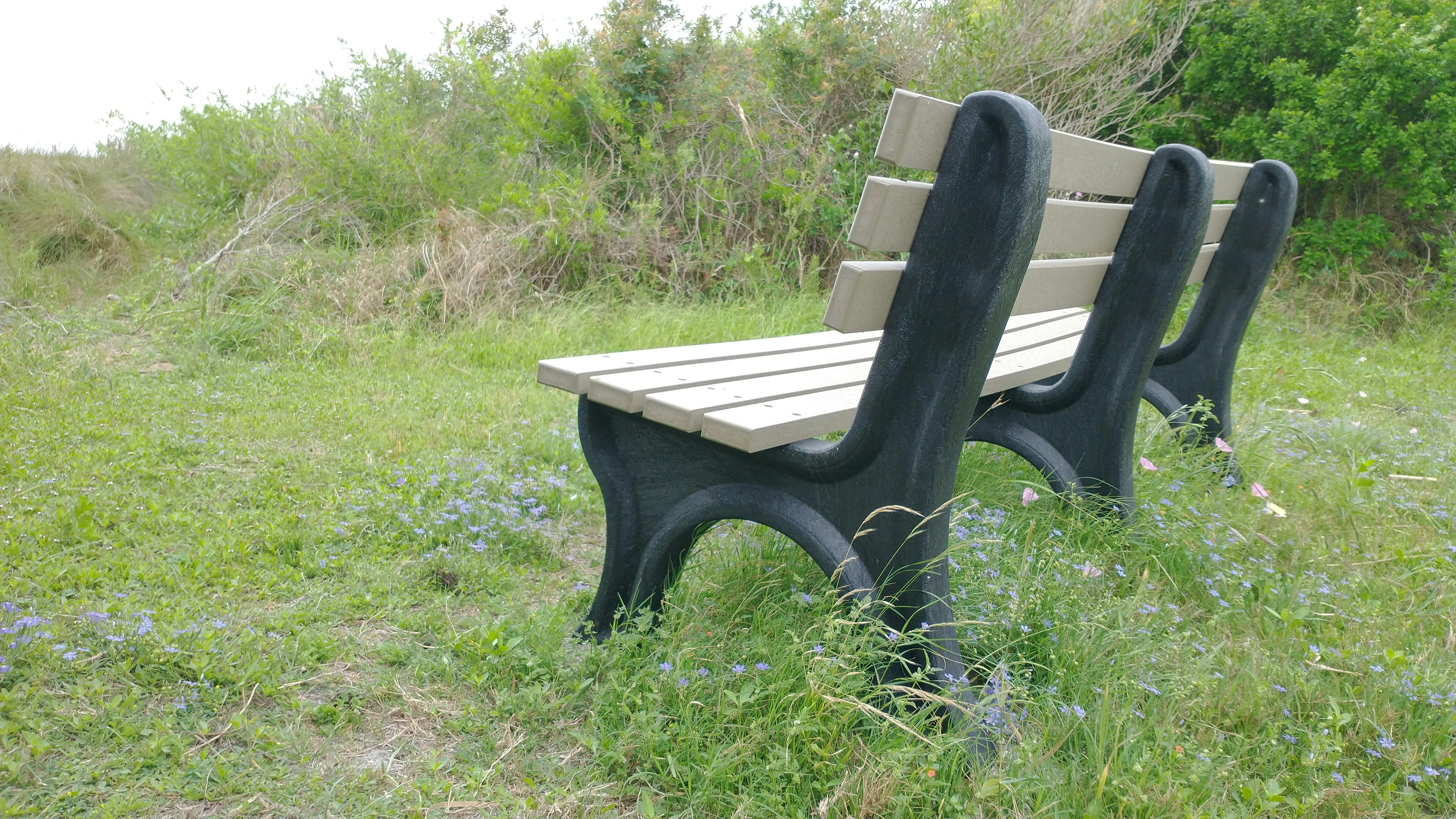 Photo by nikhilpchandane